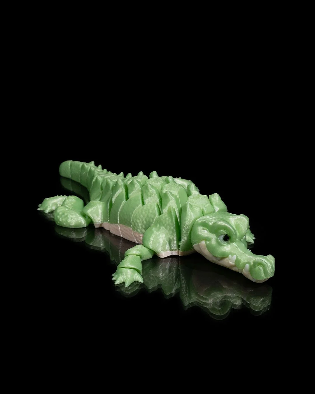 Alligator3_58b972aa18.jpg