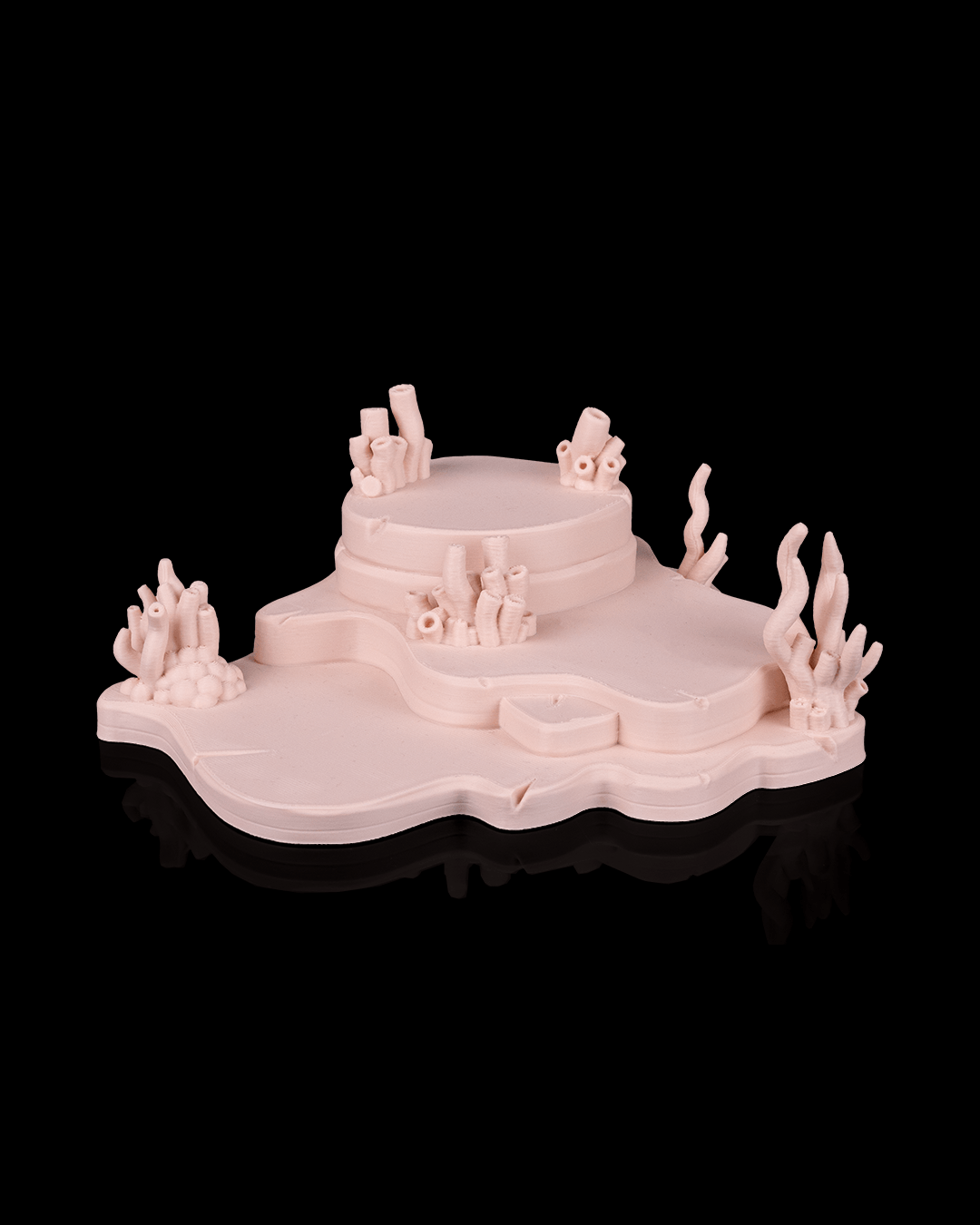 Axolotl_Haven_Display_6_75dc7e8c8f.png