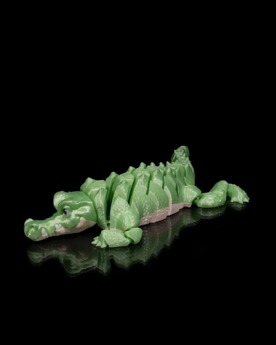 Alligator5_a0c2c574b6.jpg