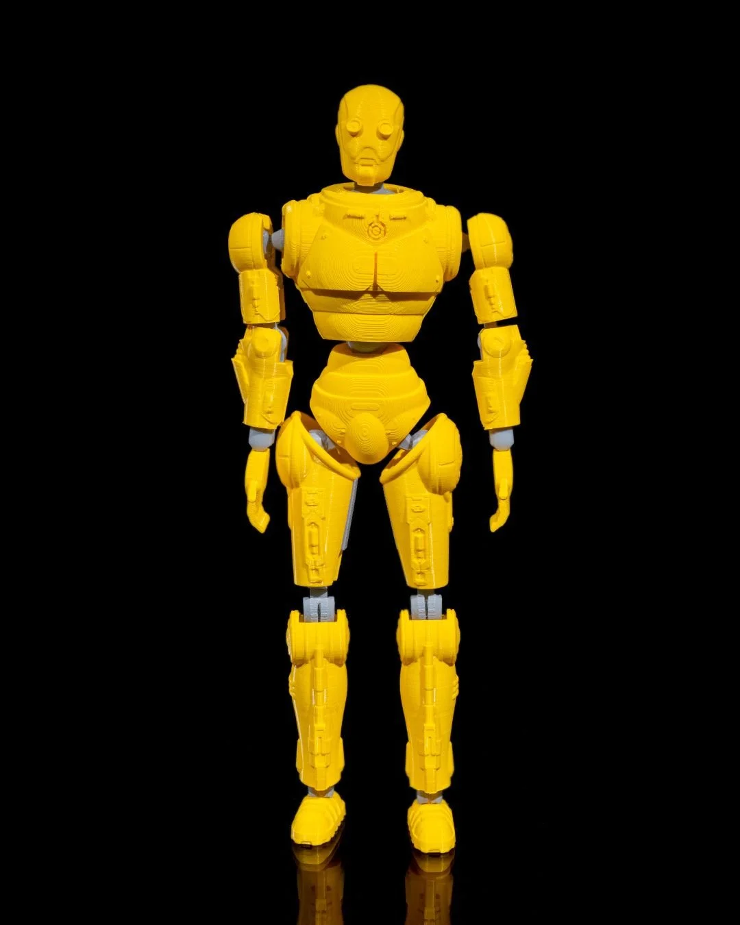 Rad_Free_Dummy_Tall_1_15eec78f01.jpg