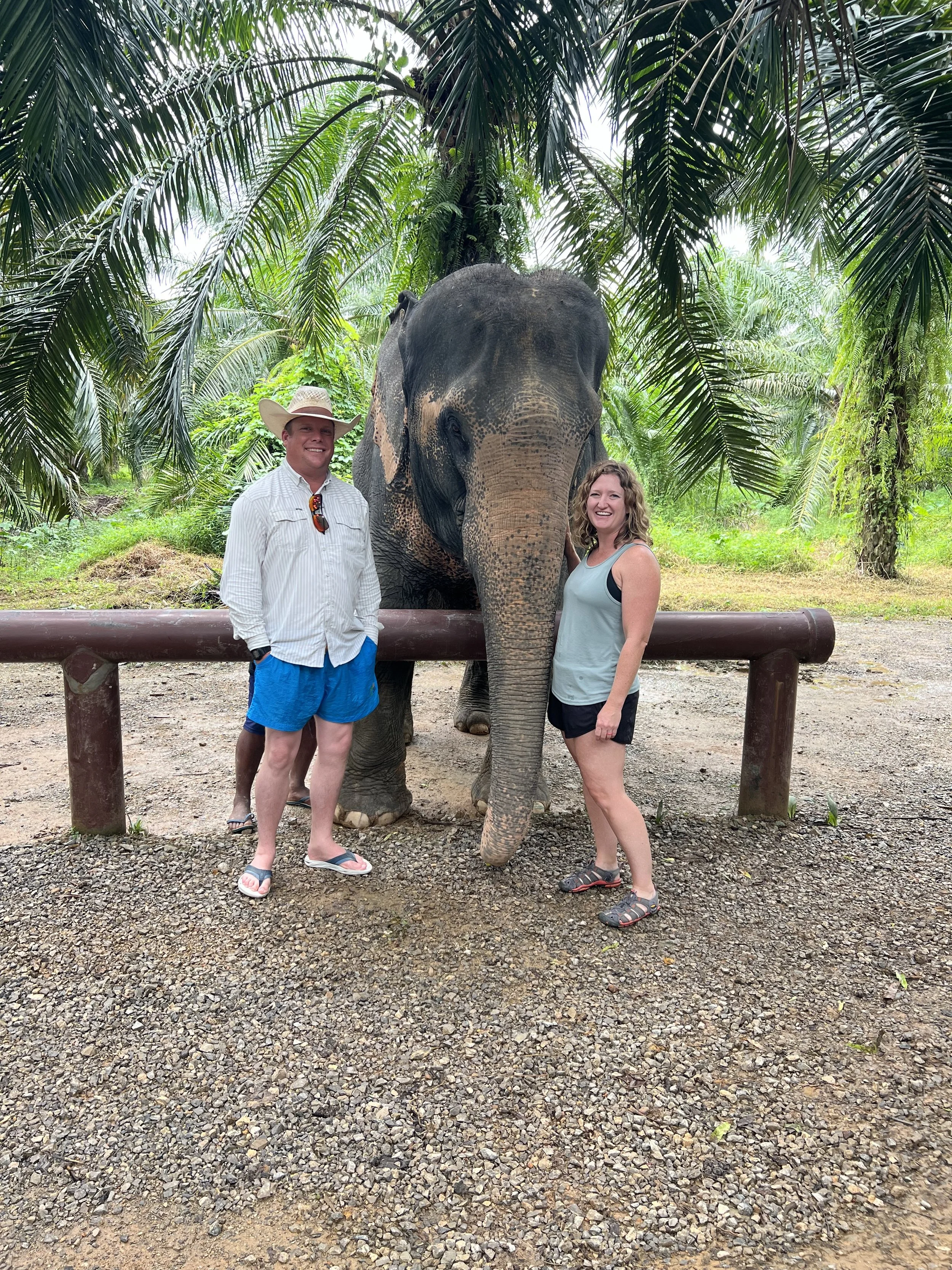 elephant with a lush, tropical background of palm trees. The man is wearing a straw hat, sunglasses hanging from his shirt, a striped shirt, blue shorts, and flip-flops. One woman is wearing a tank top and shorts, while the other woman is wearing a tank top and shorts as well. The elephant is standing behind a wooden barrier.
