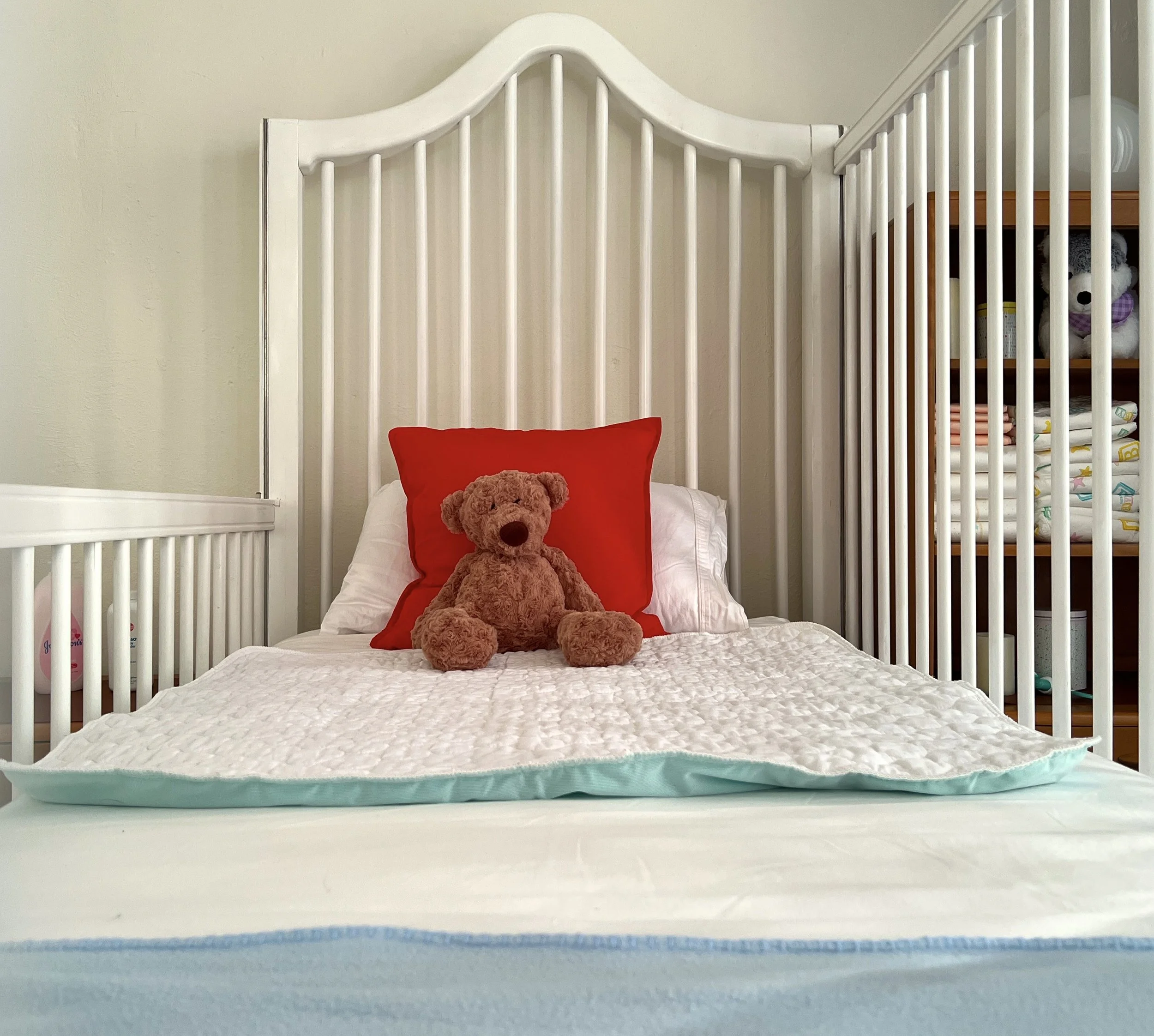 Teddy is always ready for your visit. 