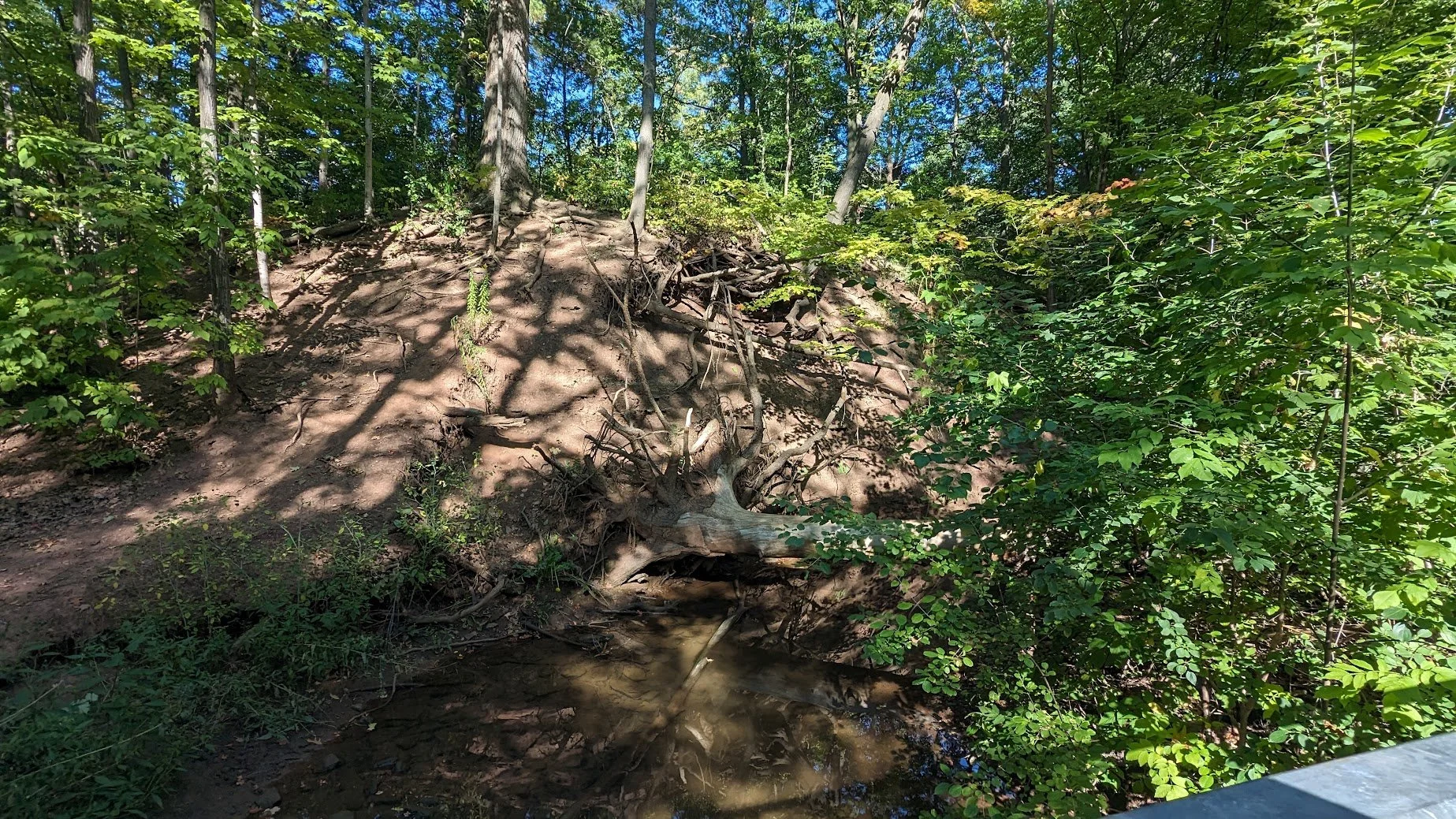 PXL_20230920_200347382.jpg