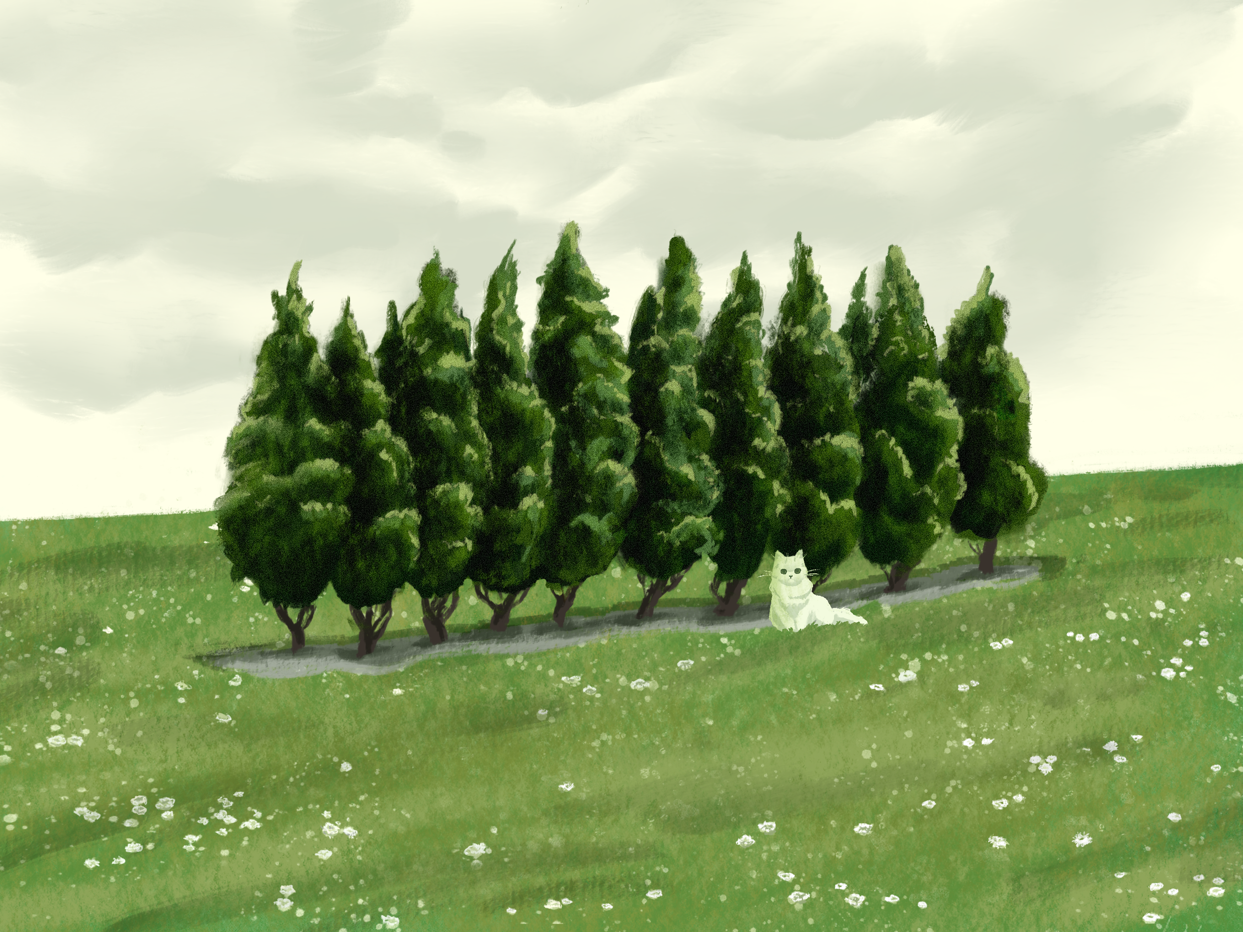 Liminal Cedars