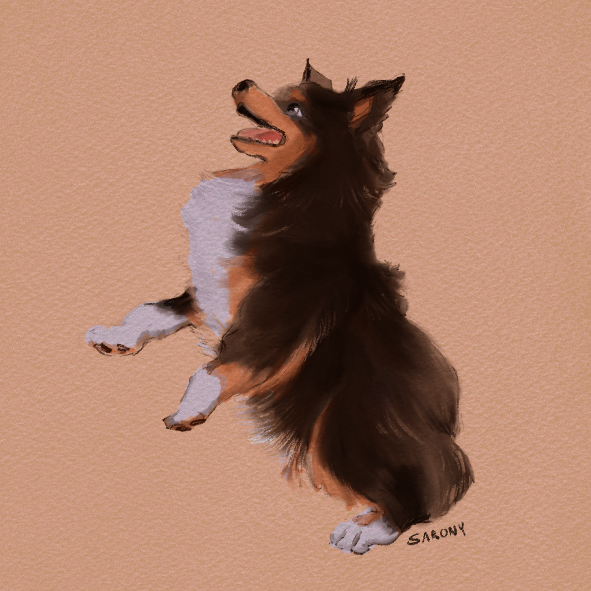 Coloured Portrait