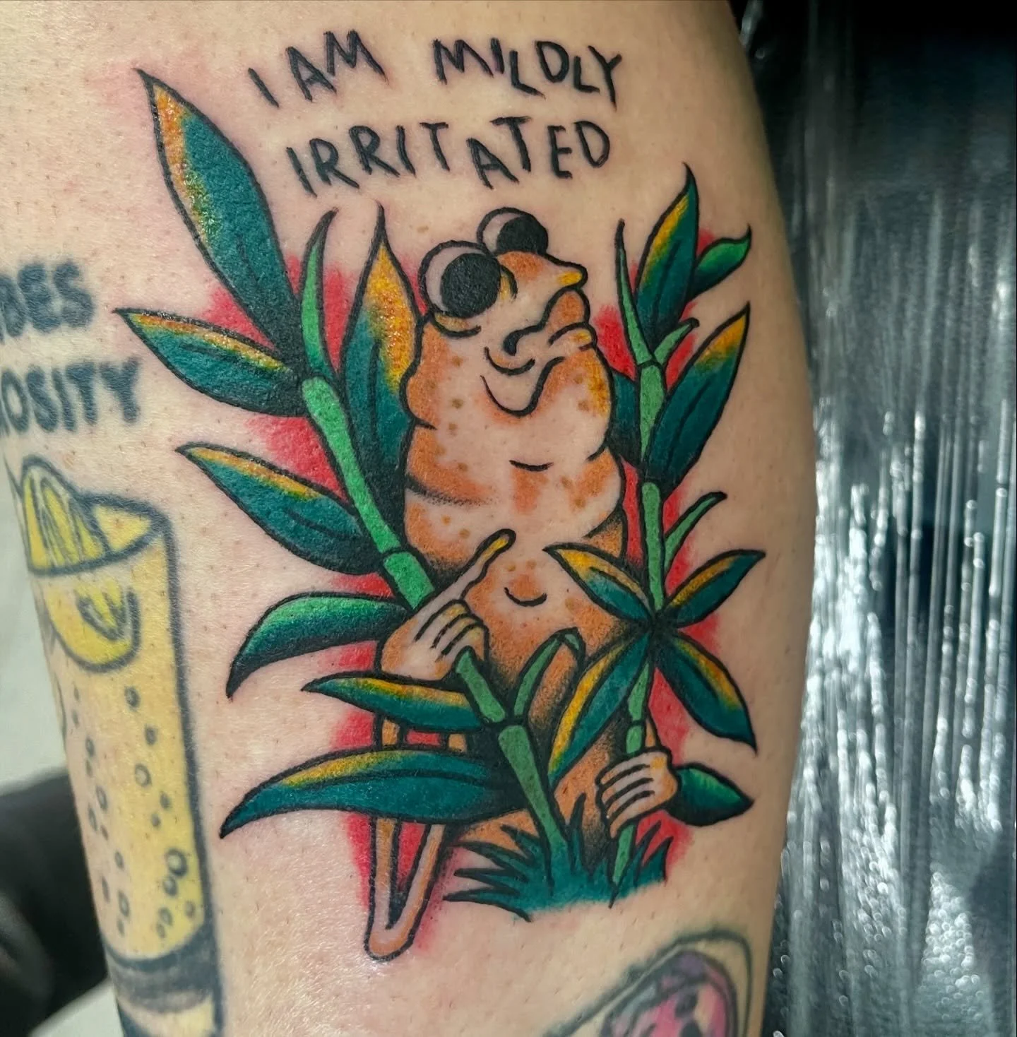 Robert, you&rsquo;re ruining the vibe. 👀
Lots of fun making this Marcus the worm tattoo for my good friend @martaysatay - cheers big ears! 

@joya_tattoocollective

#traditionaltattoo #americantraditionaltattoo #marcusvrchat #marcus #marcustheworm #