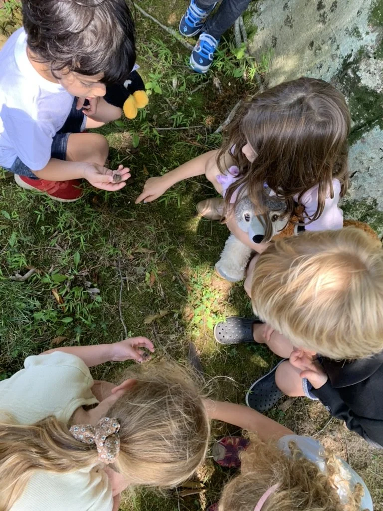 Group of children exploring nature on a grassy area near a rock, examining small objects on the ground.