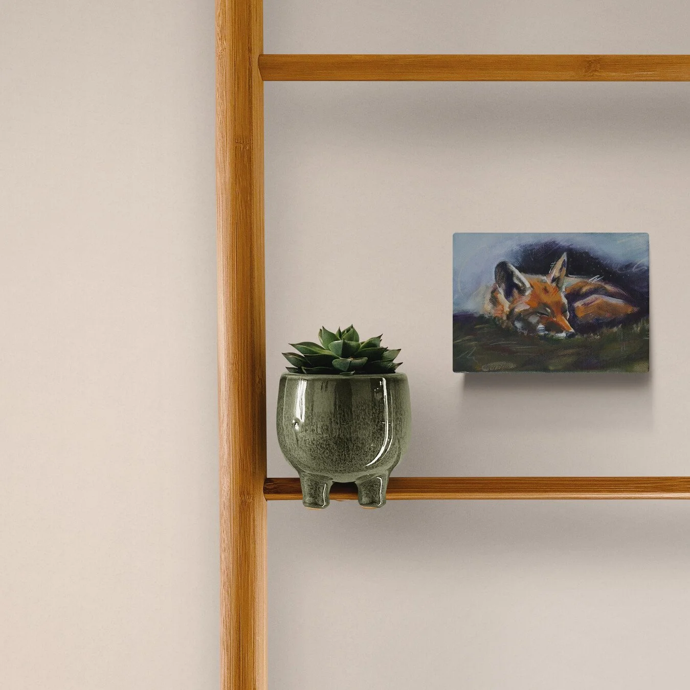 close-up-of-a-potted-plant-on-a-ladder.jpg