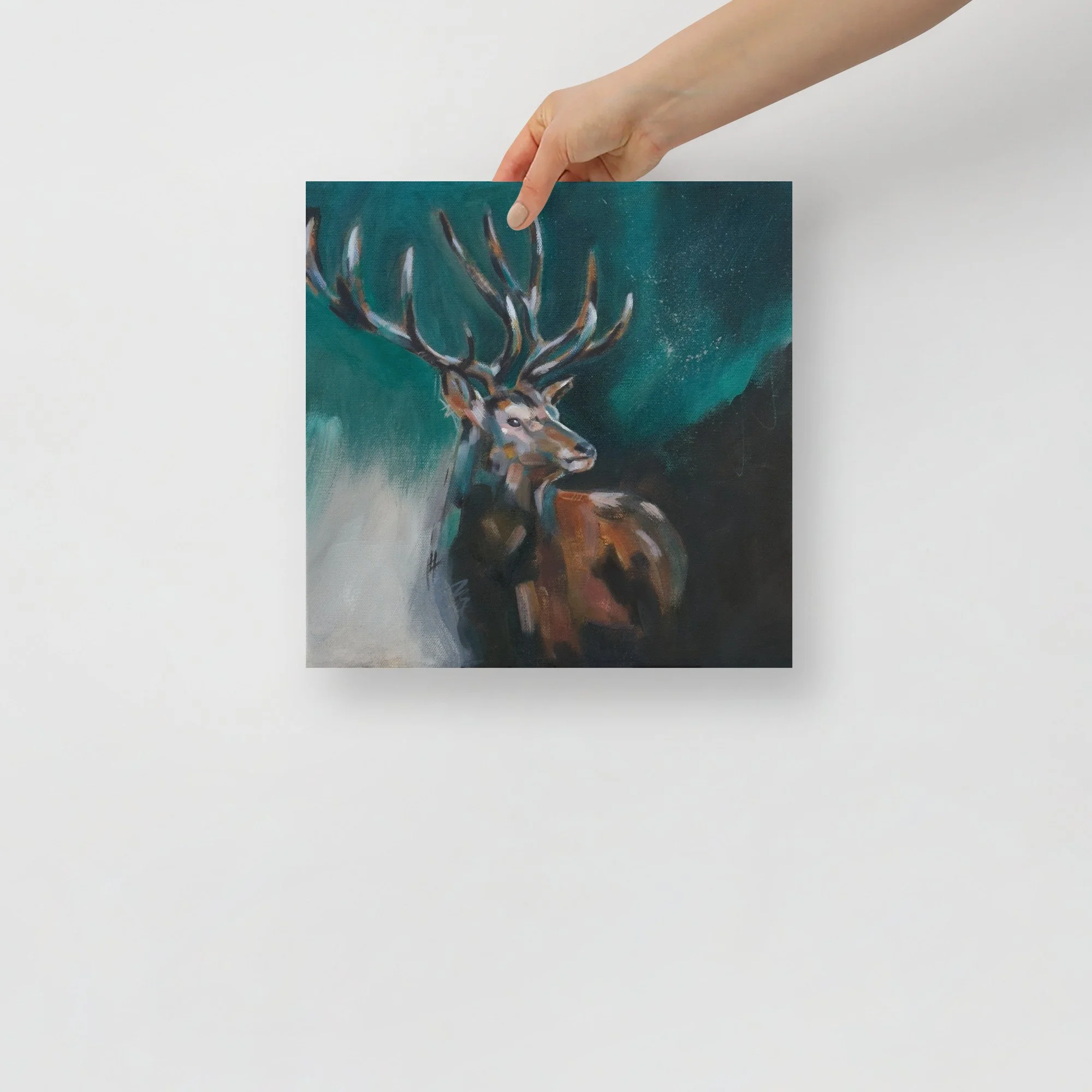 enhanced-matte-paper-poster-(in)-12x12-front-6a4e5f7e0774c.jpg