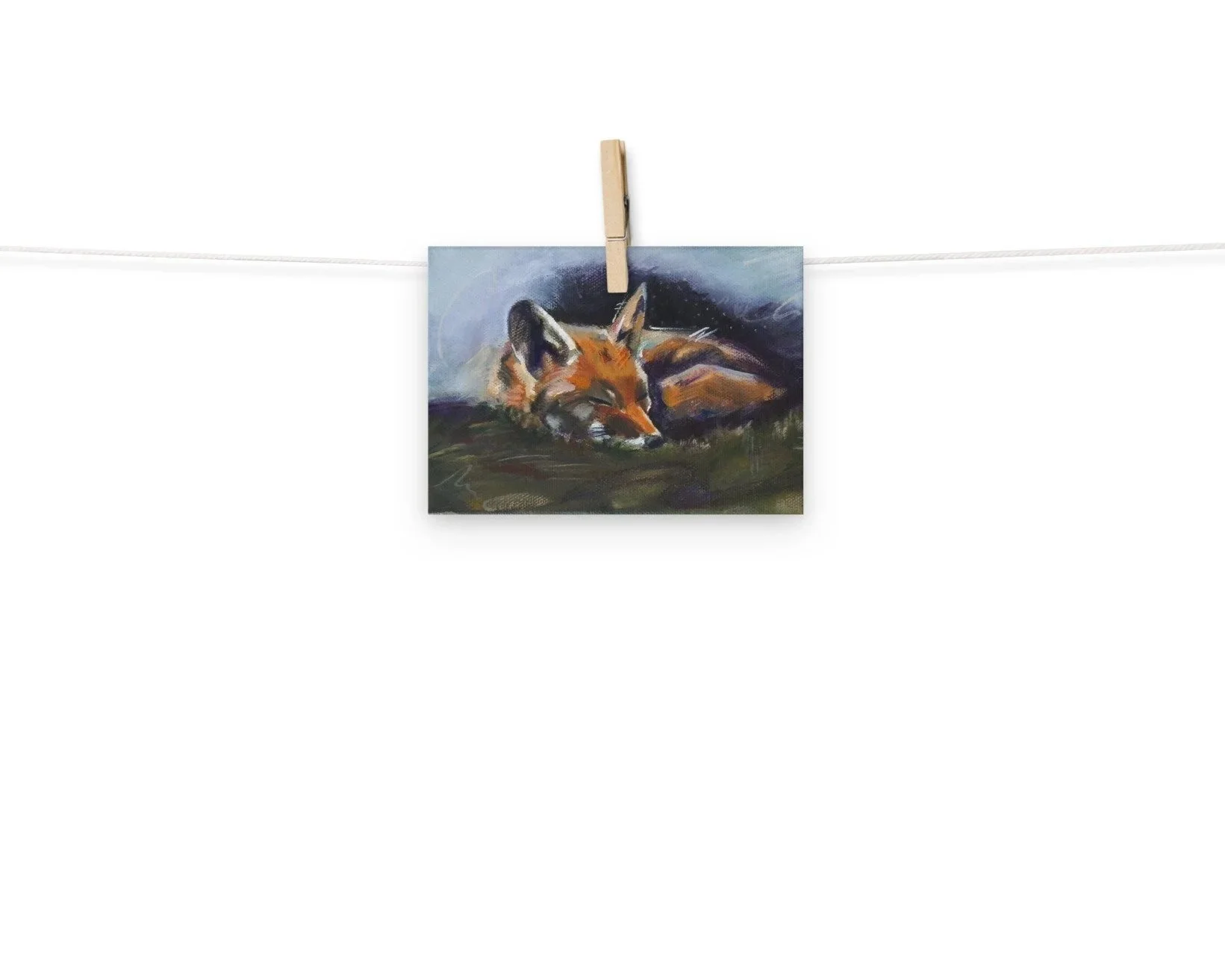 enhanced-matte-paper-poster-%28in%29-5x7-front-6a4e6031d0c25.jpg