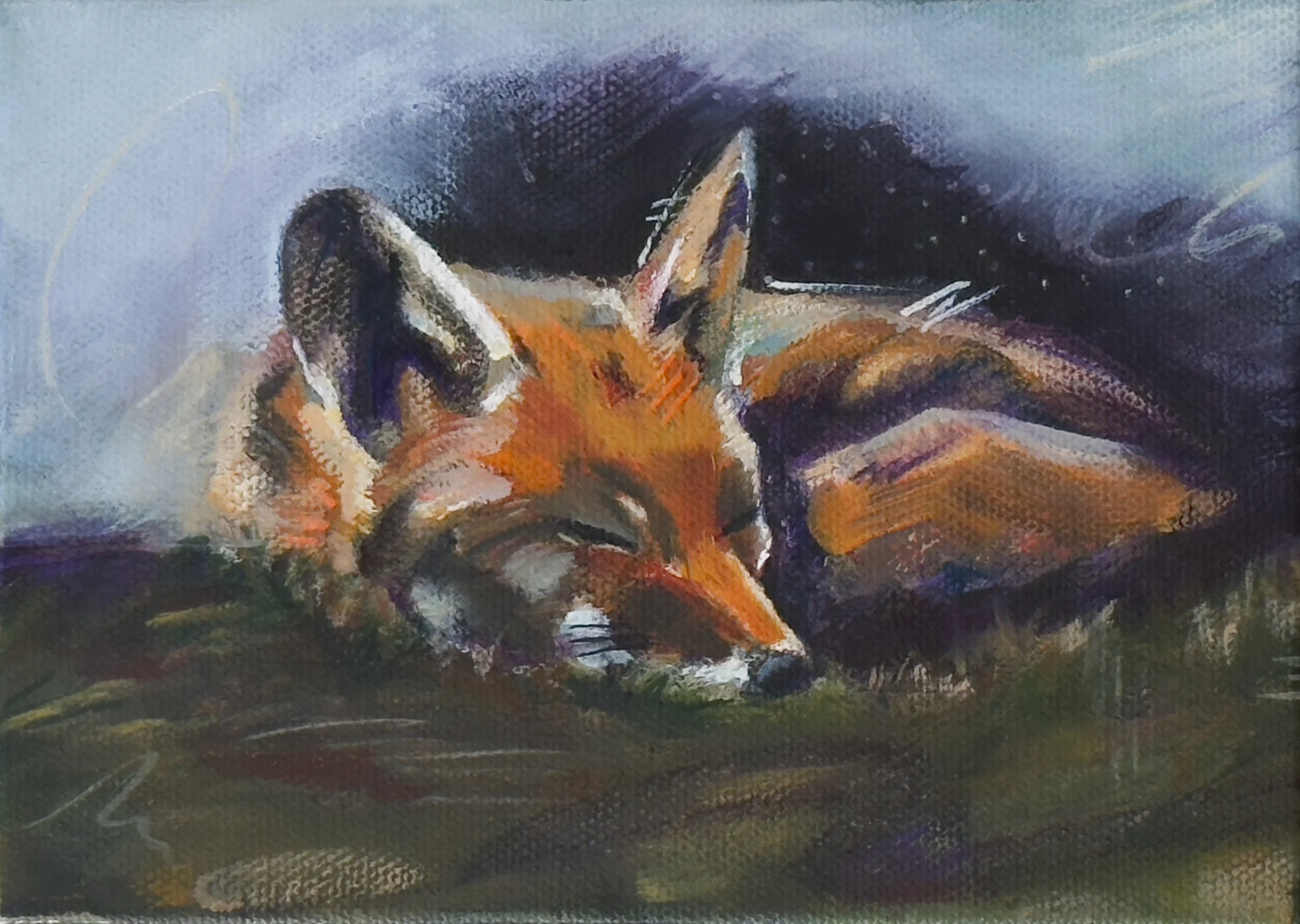 Tucked - Original