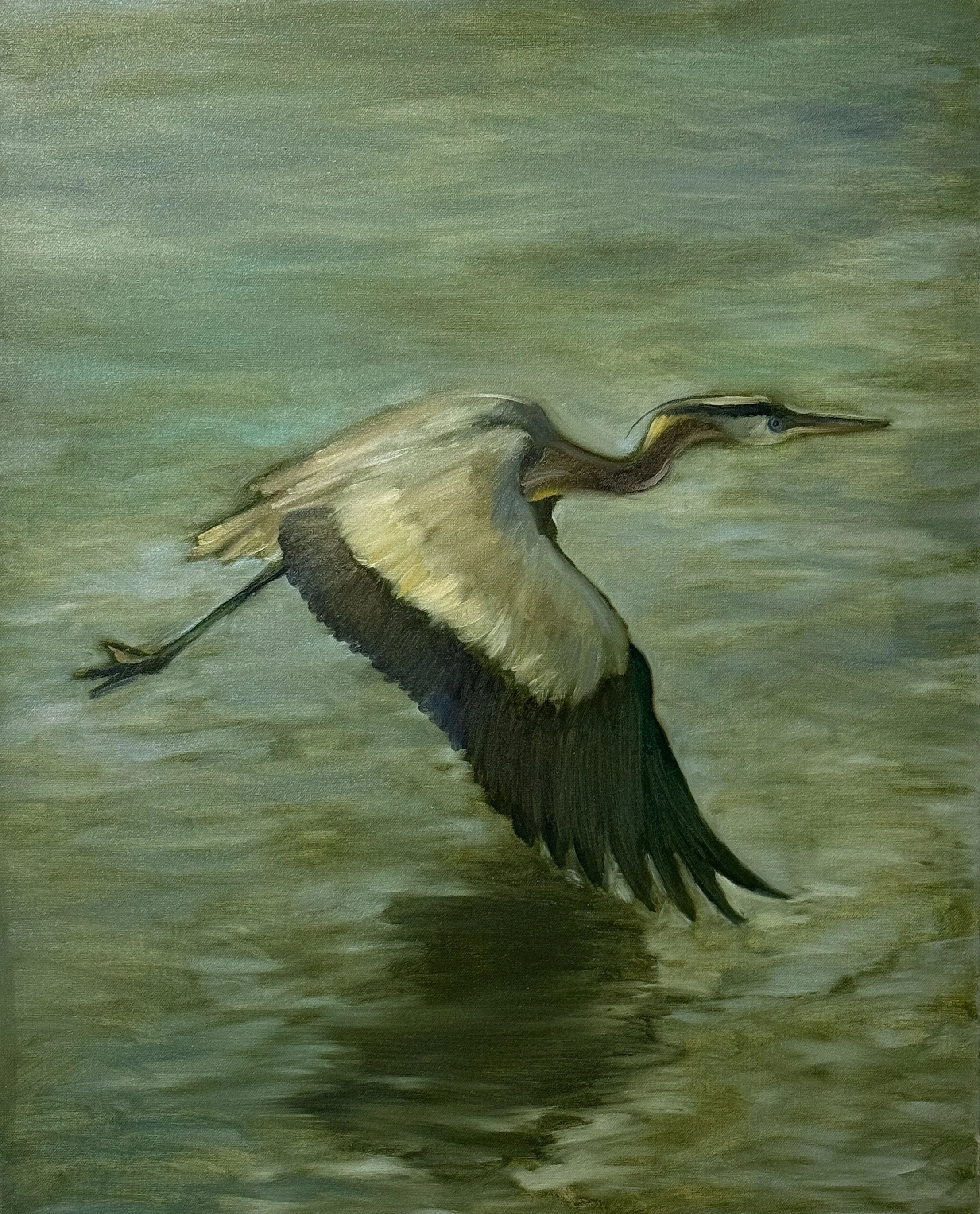 Great Blue Heron, 2026, 30 x 24 inches, oil on canvas