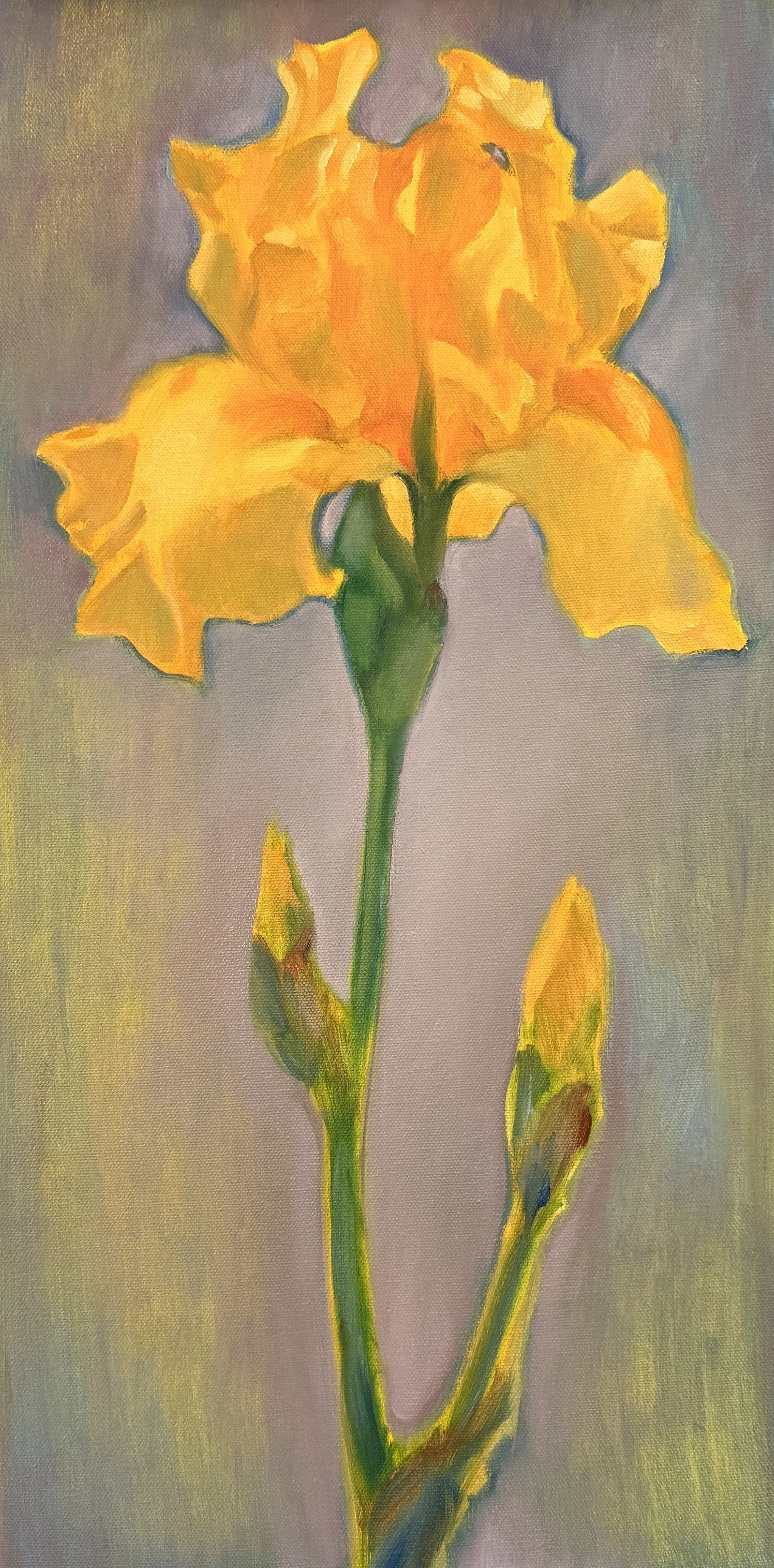 Study of an Iris, 2026, 24 x 12 inches, oil on canvas