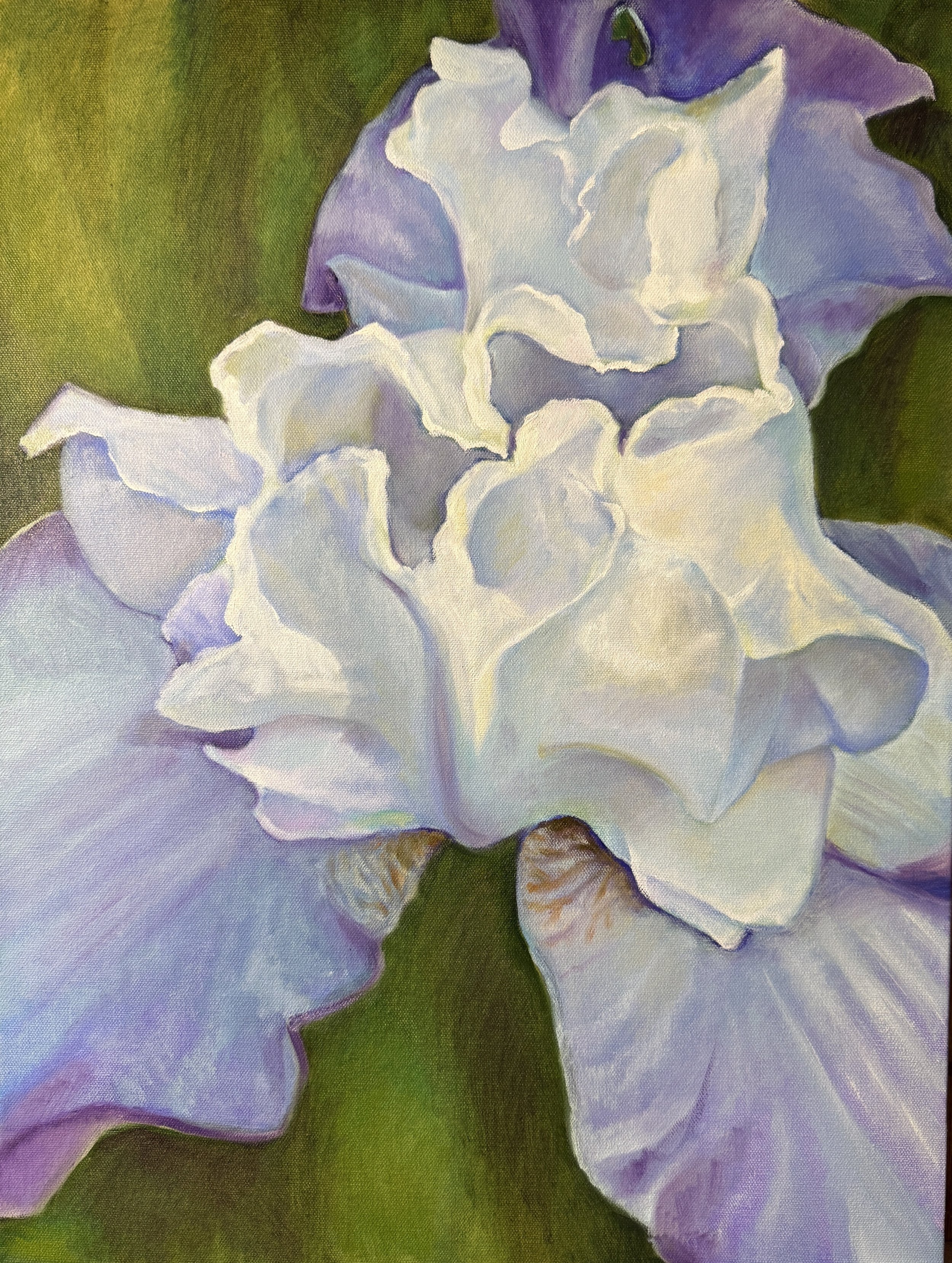 Iris, 2026, 24 x 18inches, oil on canvas