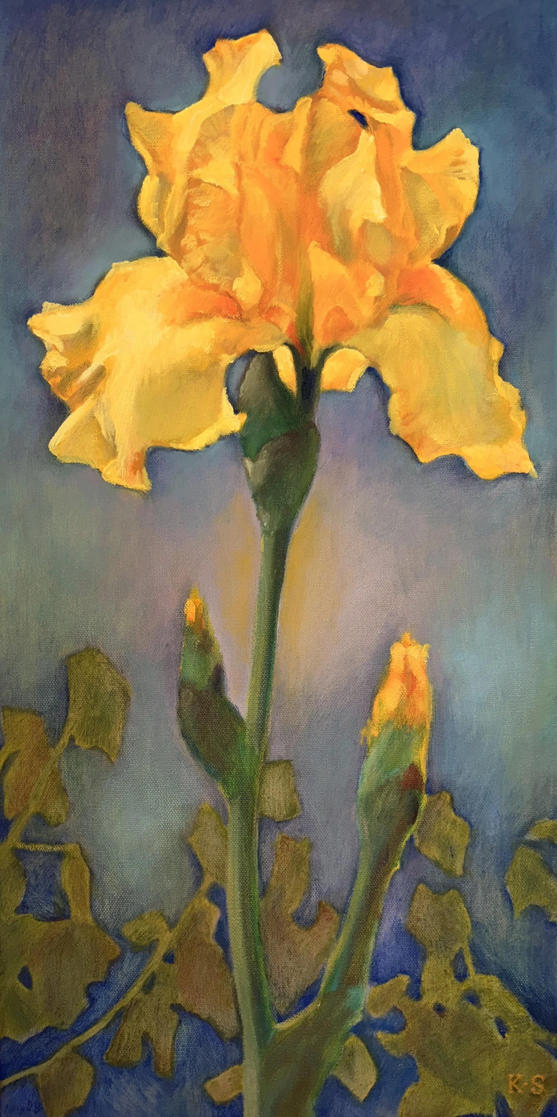 Study of an Iris, 2026, 24 x 12 inches, oil on canvas
