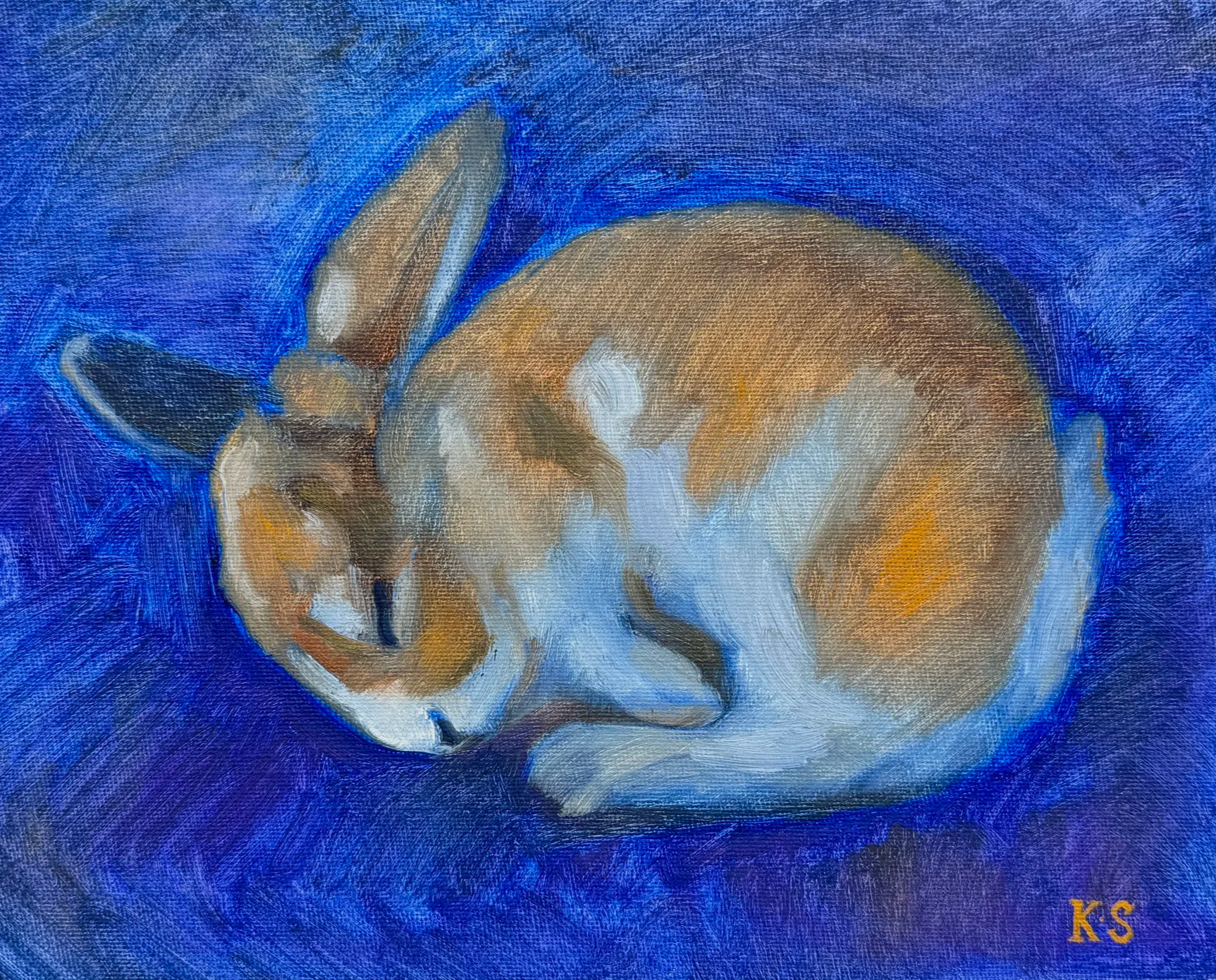 Bunny Dreams, 2026, 8 x 10 inches, oil on canvas board