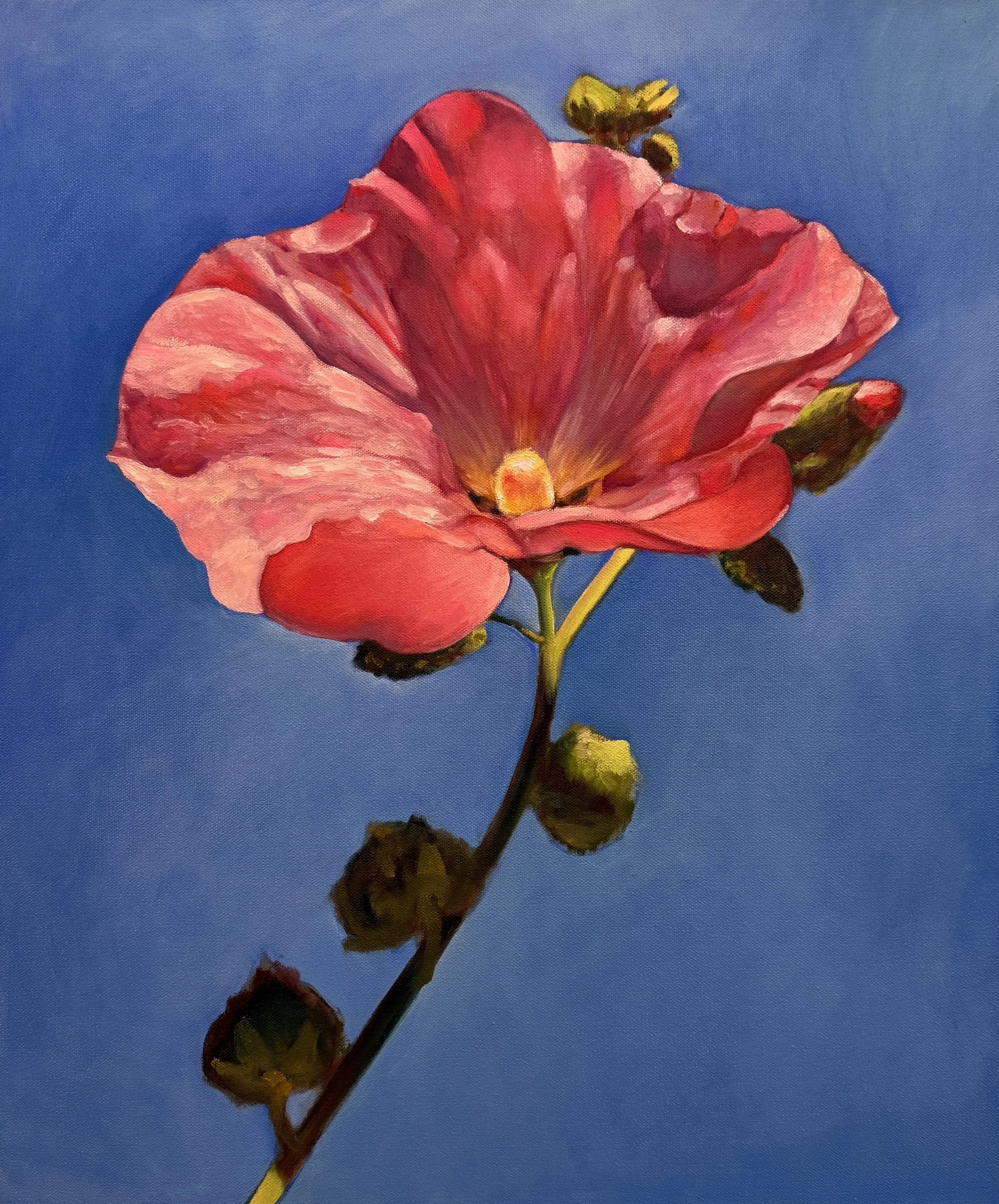 Hollyhock, 2026, 24 x 20 inches, oil on canvas