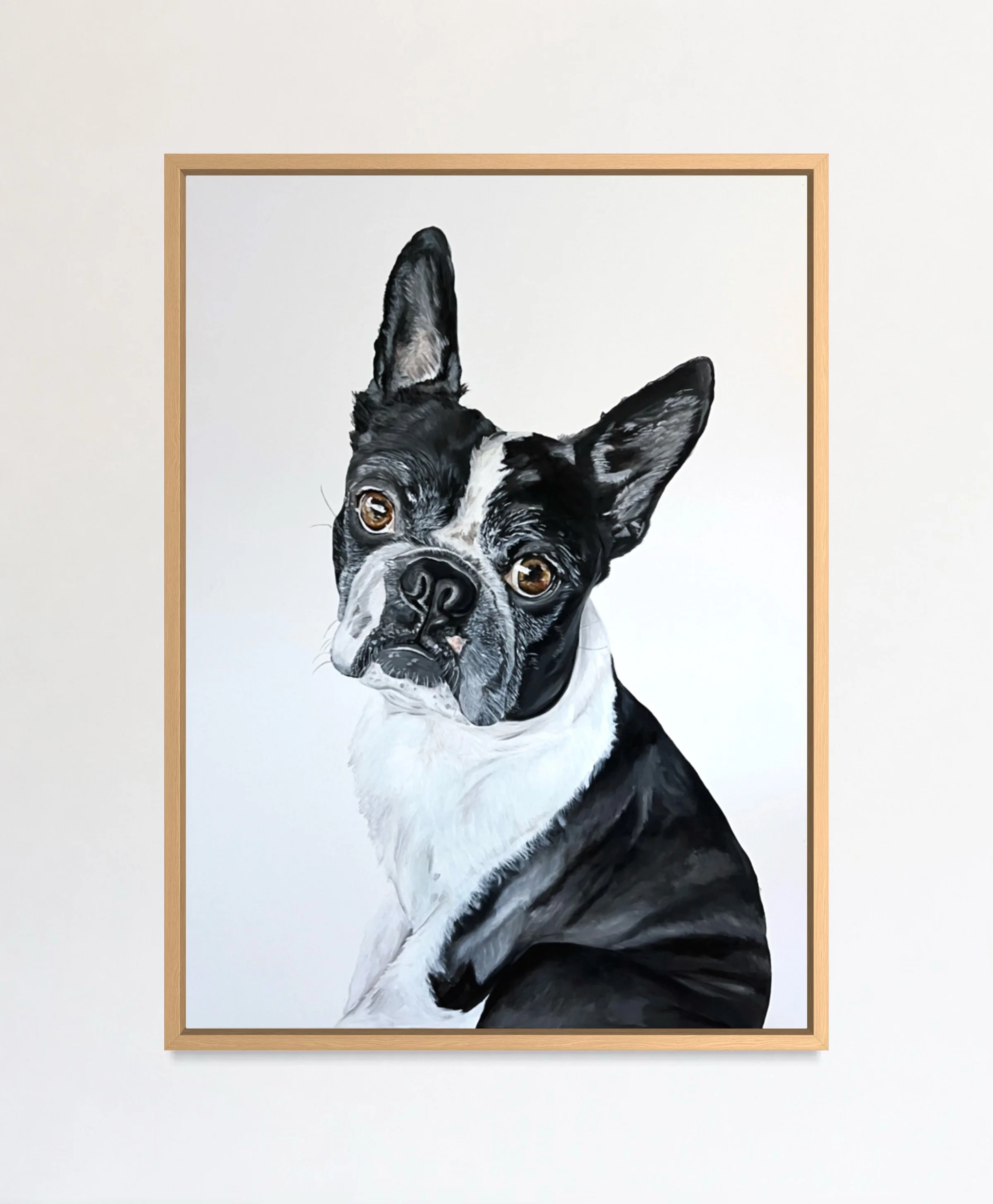 Painted portrait of a black and white dog, a Boston Terrier, with large ears and expressive eyes, floating frame and hanging on a white wall.