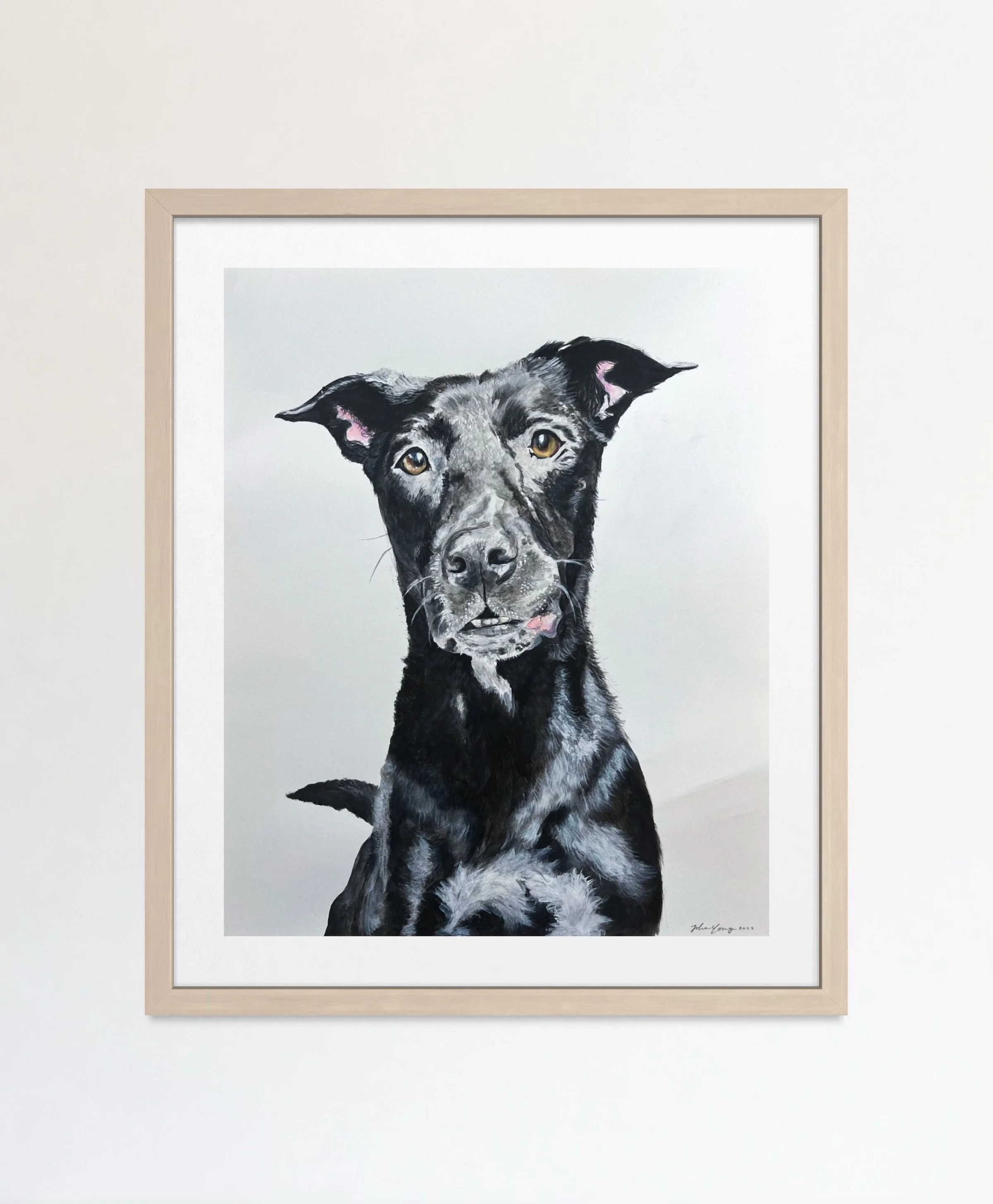 pet portrait of dog framed