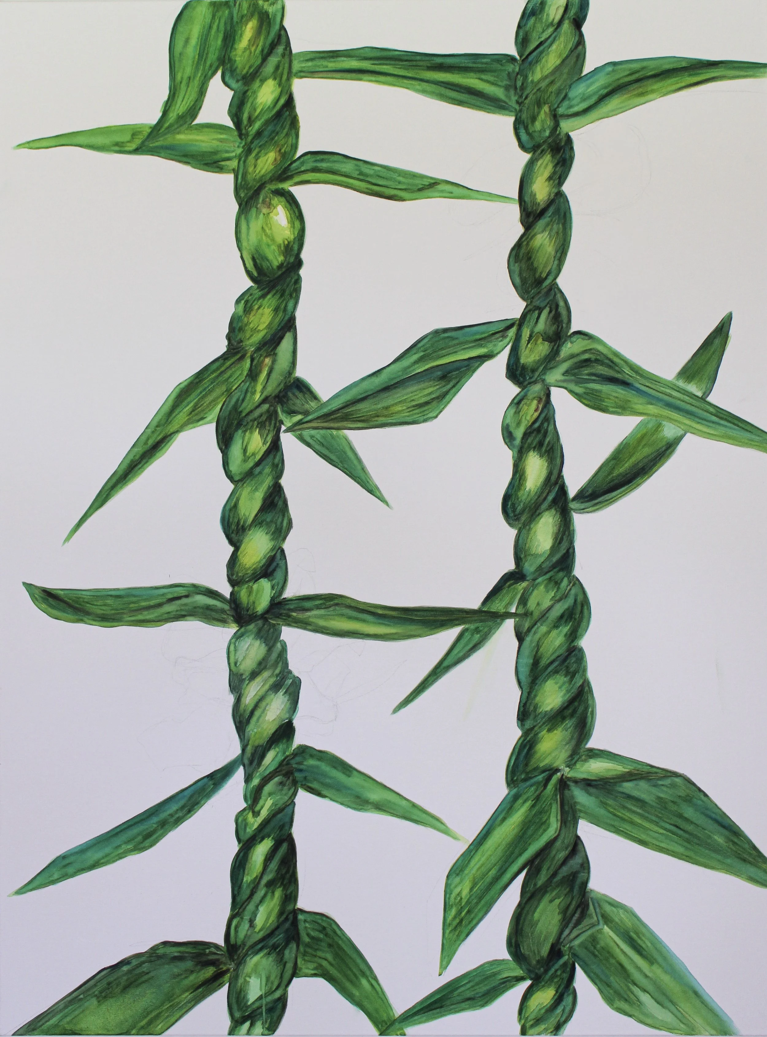A close-up painting of twisted green plant stems with elongated green leaves on a white background.