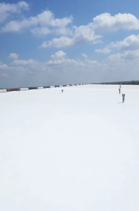 Snow-covered rooftop with vents, under a partly cloudy sky.