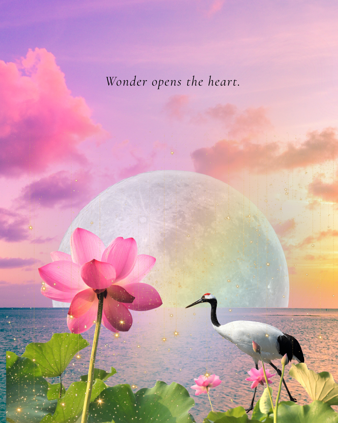 crane wonder opens the heart.png