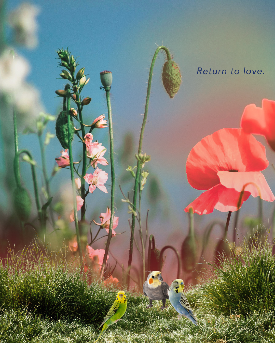 return to love?.png