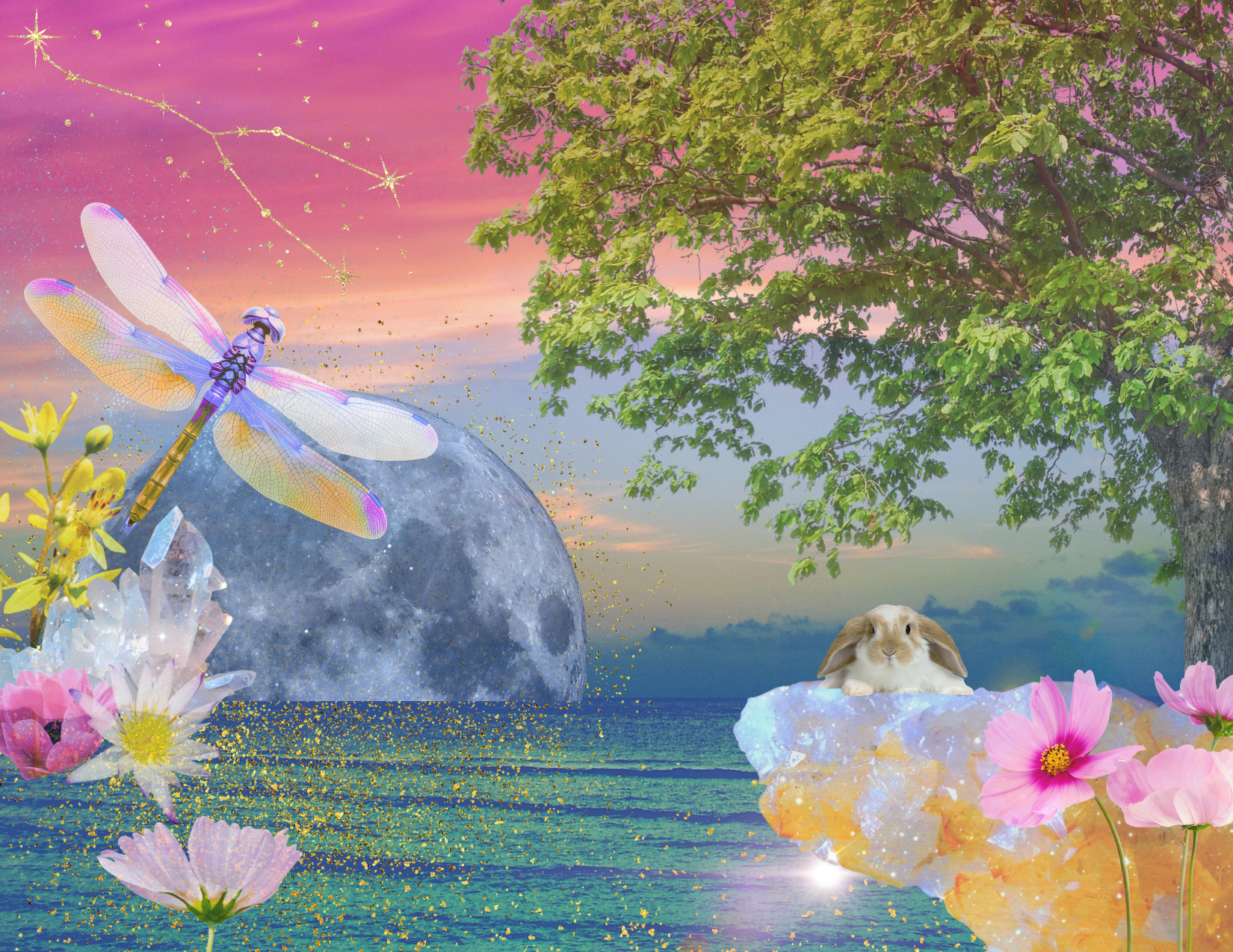 Untitled design (7).png