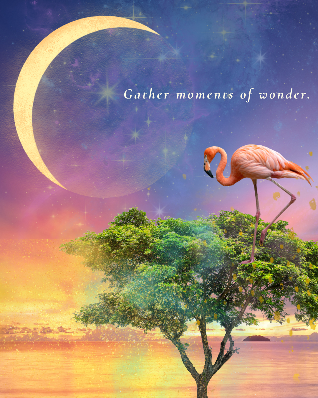 gather moments of wonder.png