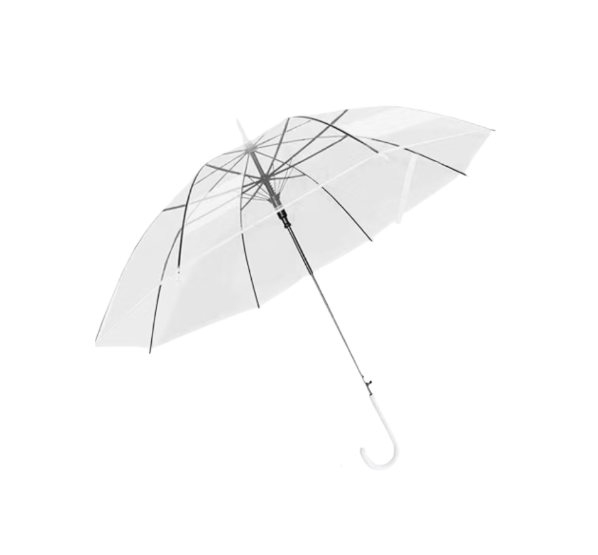 Clear Umbrella