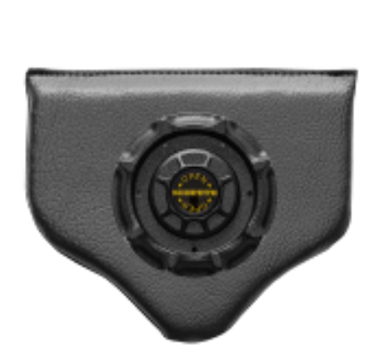 Buckle Pad.png