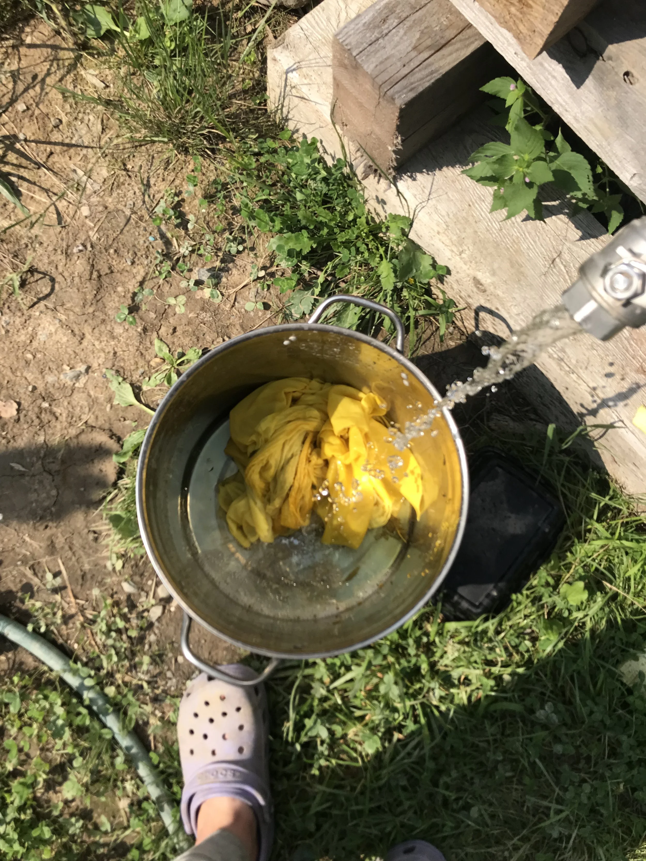IMG_1767.jpeg