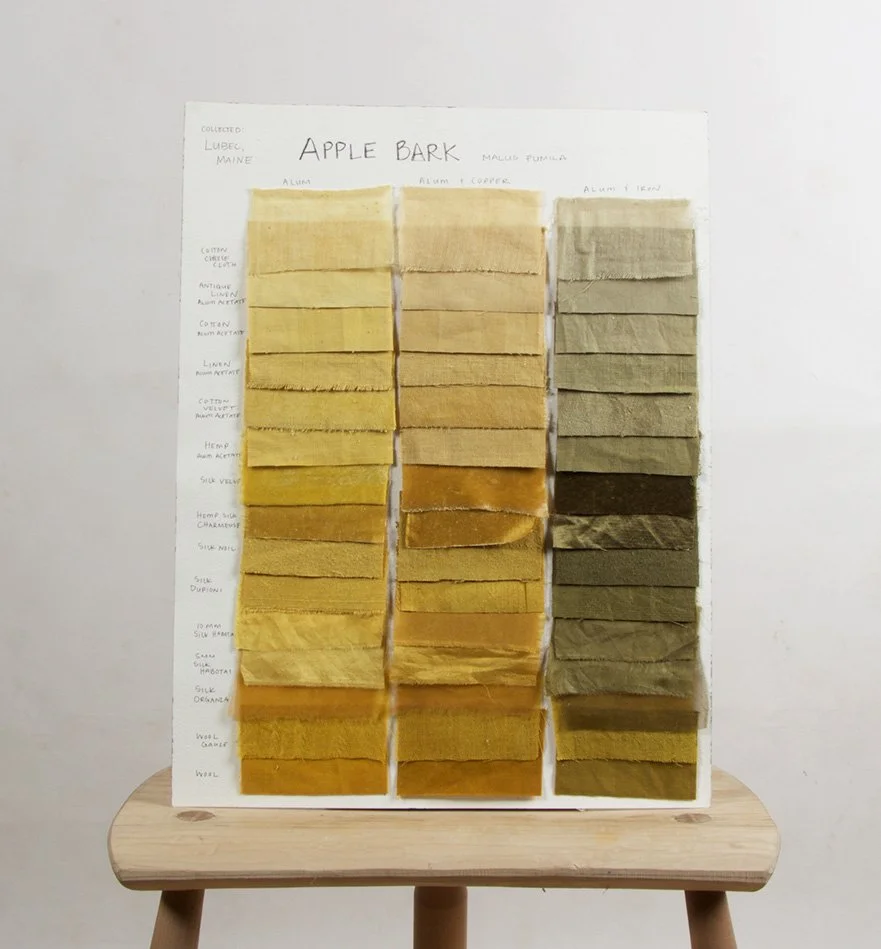 Anna Williams_Apple Bark Archive Page.jpg
