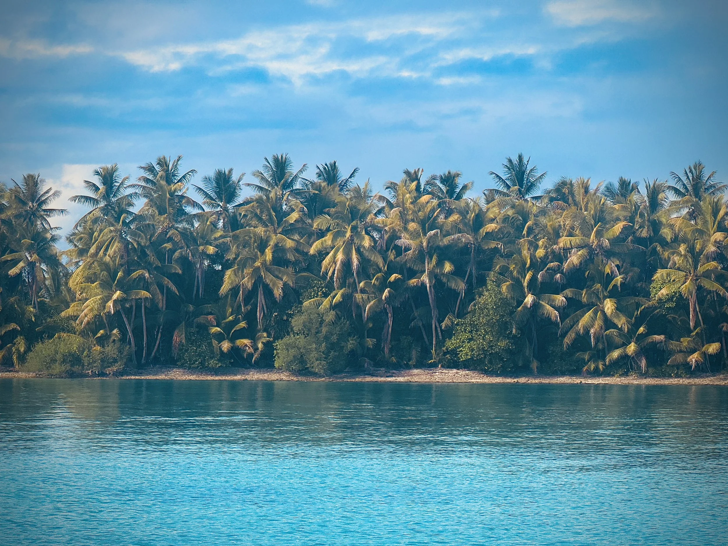 Islet in Funafuti Lagoon