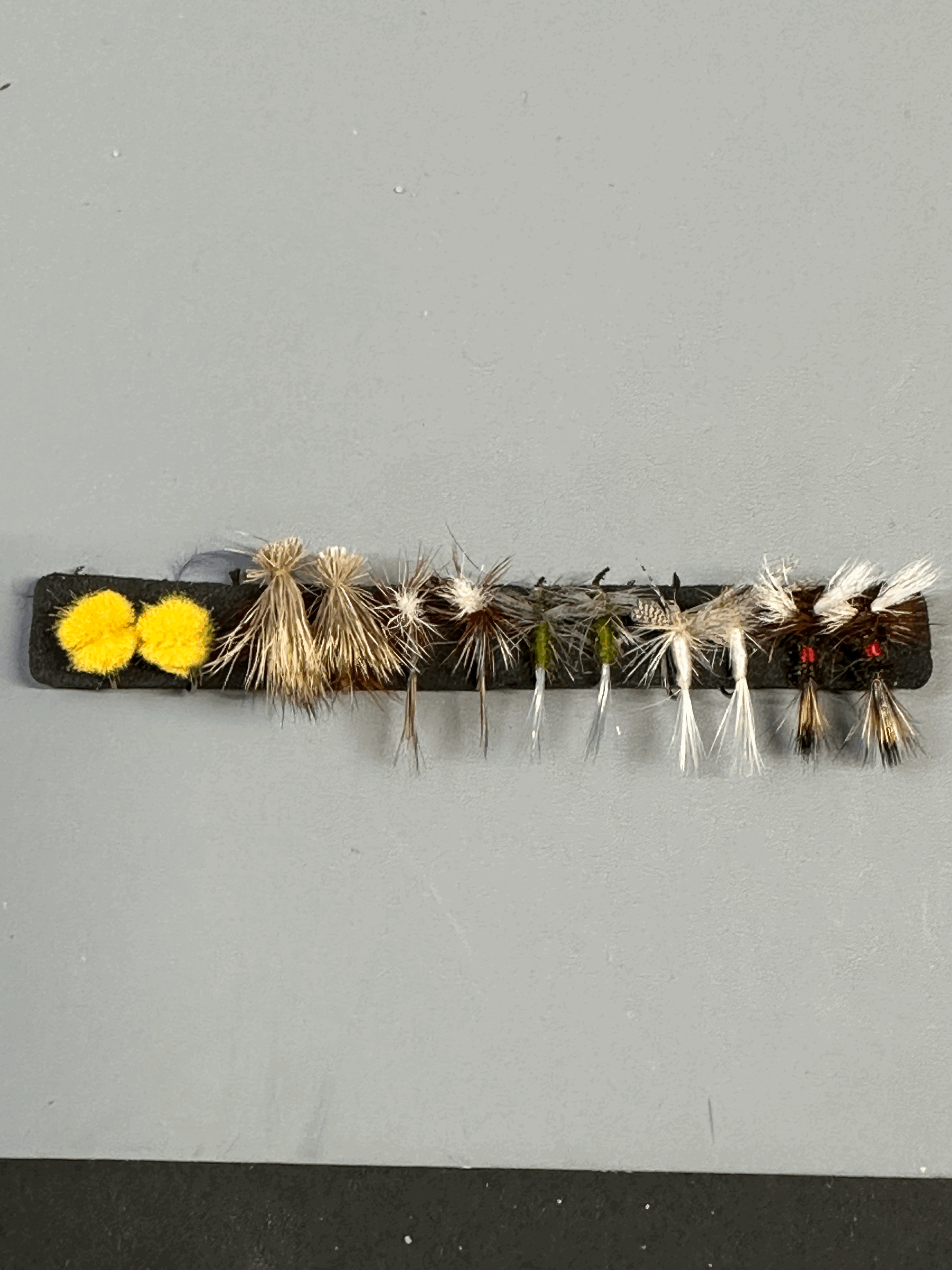 Strip of fly's