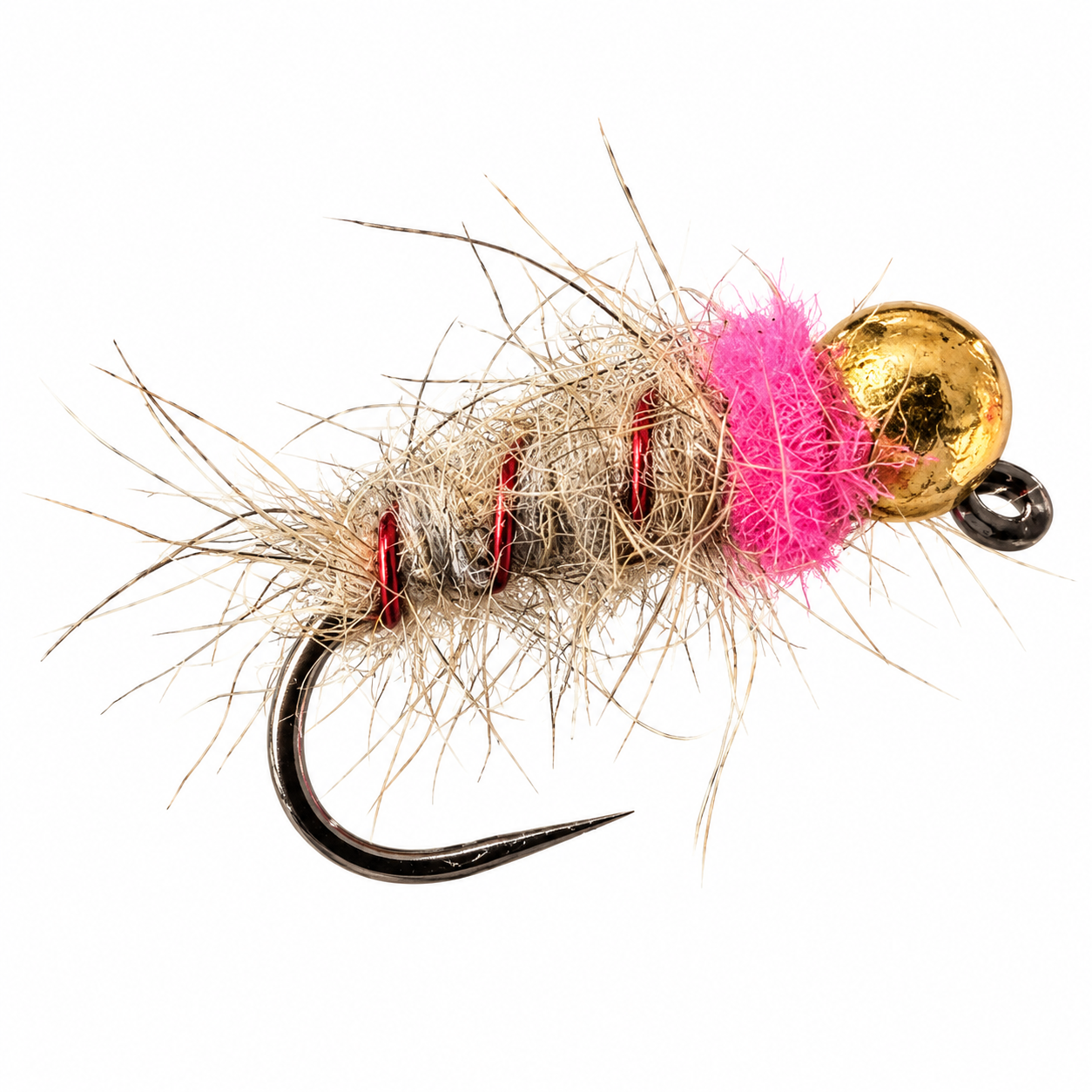BH Pink Squirrel