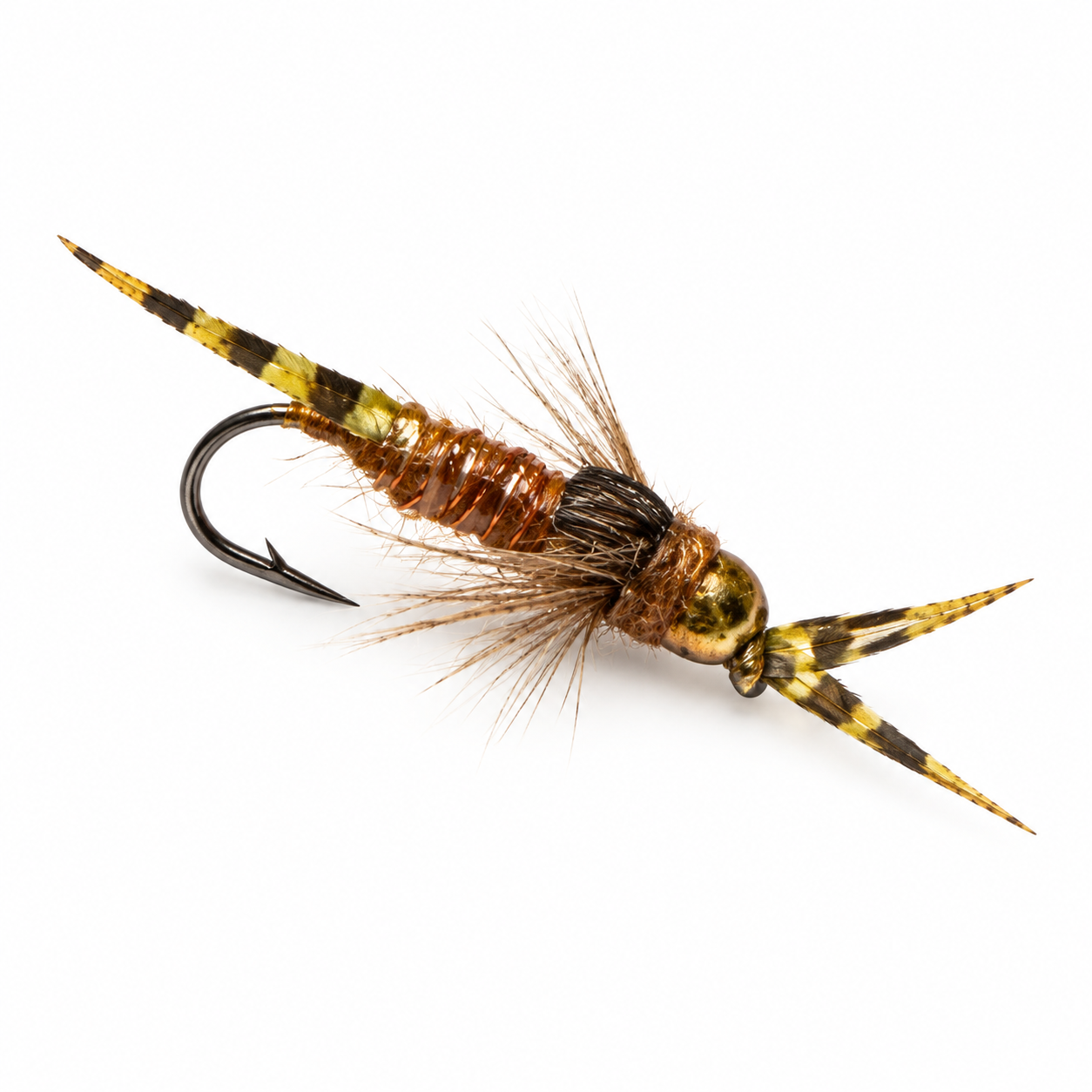 Brown Stone Fly