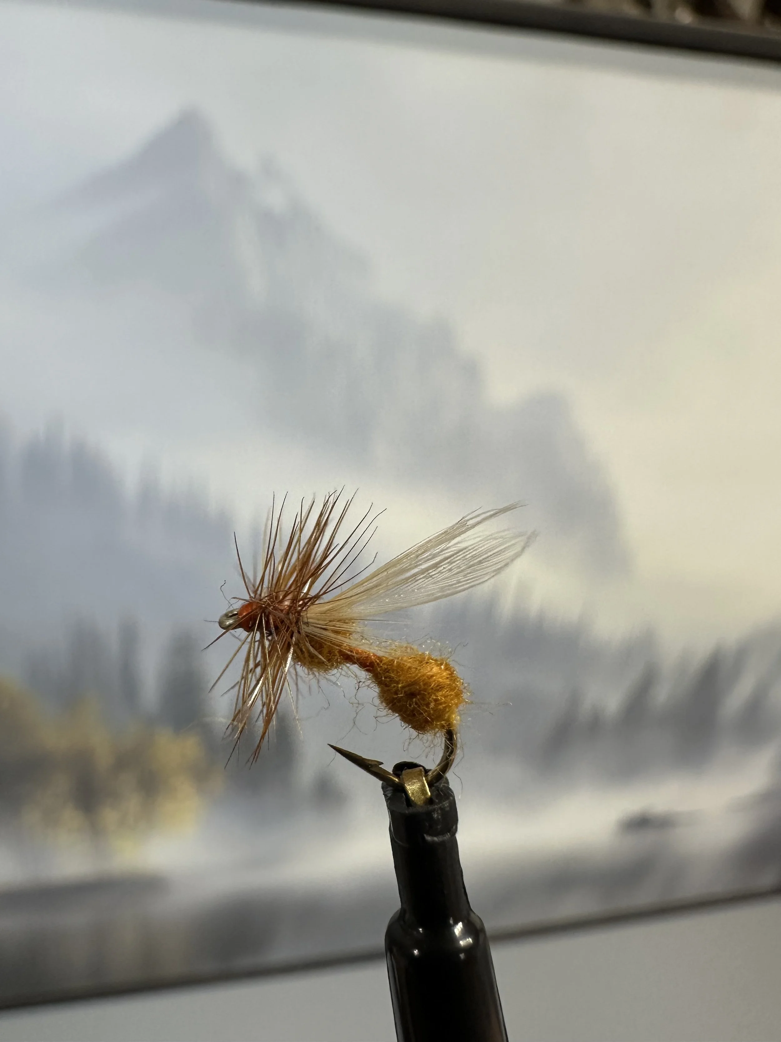 Cinnamon Flying Ant
