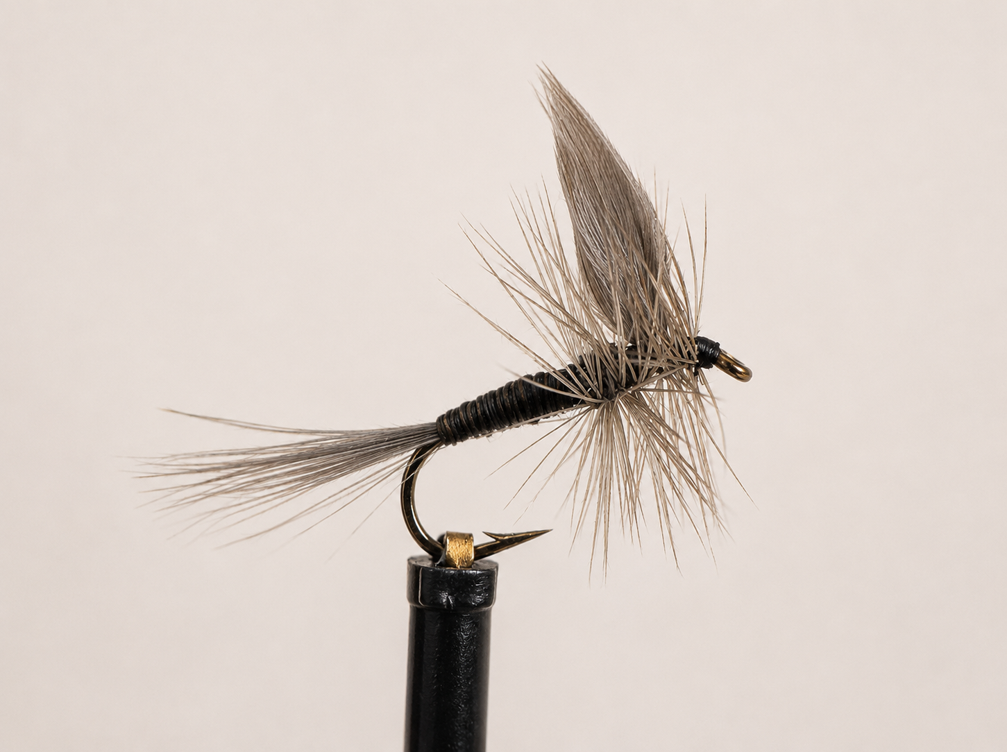 Gray Quill