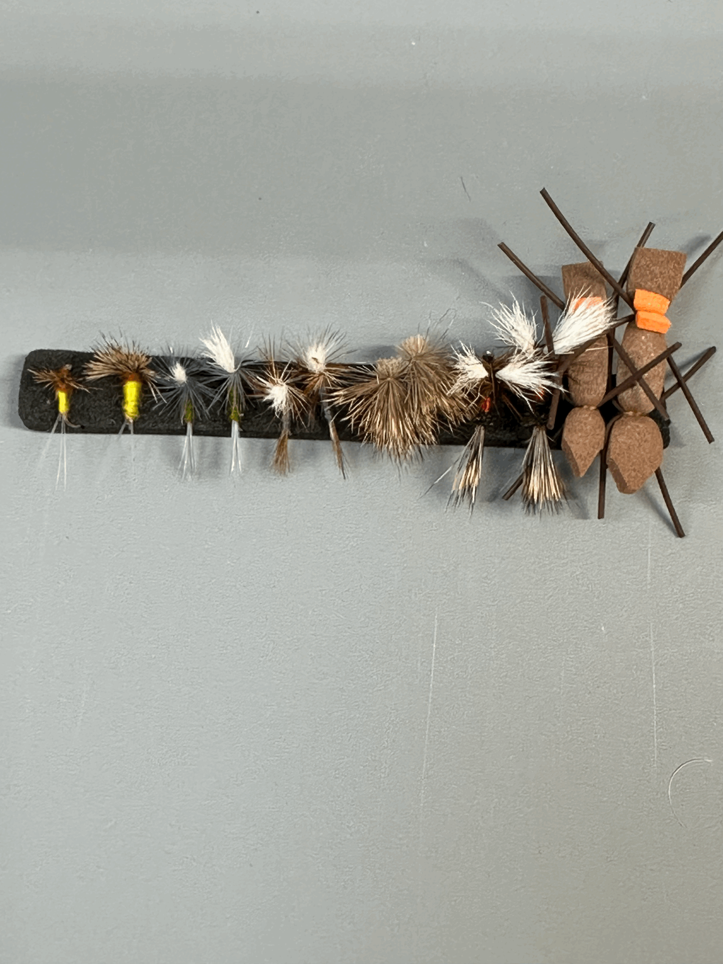 Effective strip of fly's