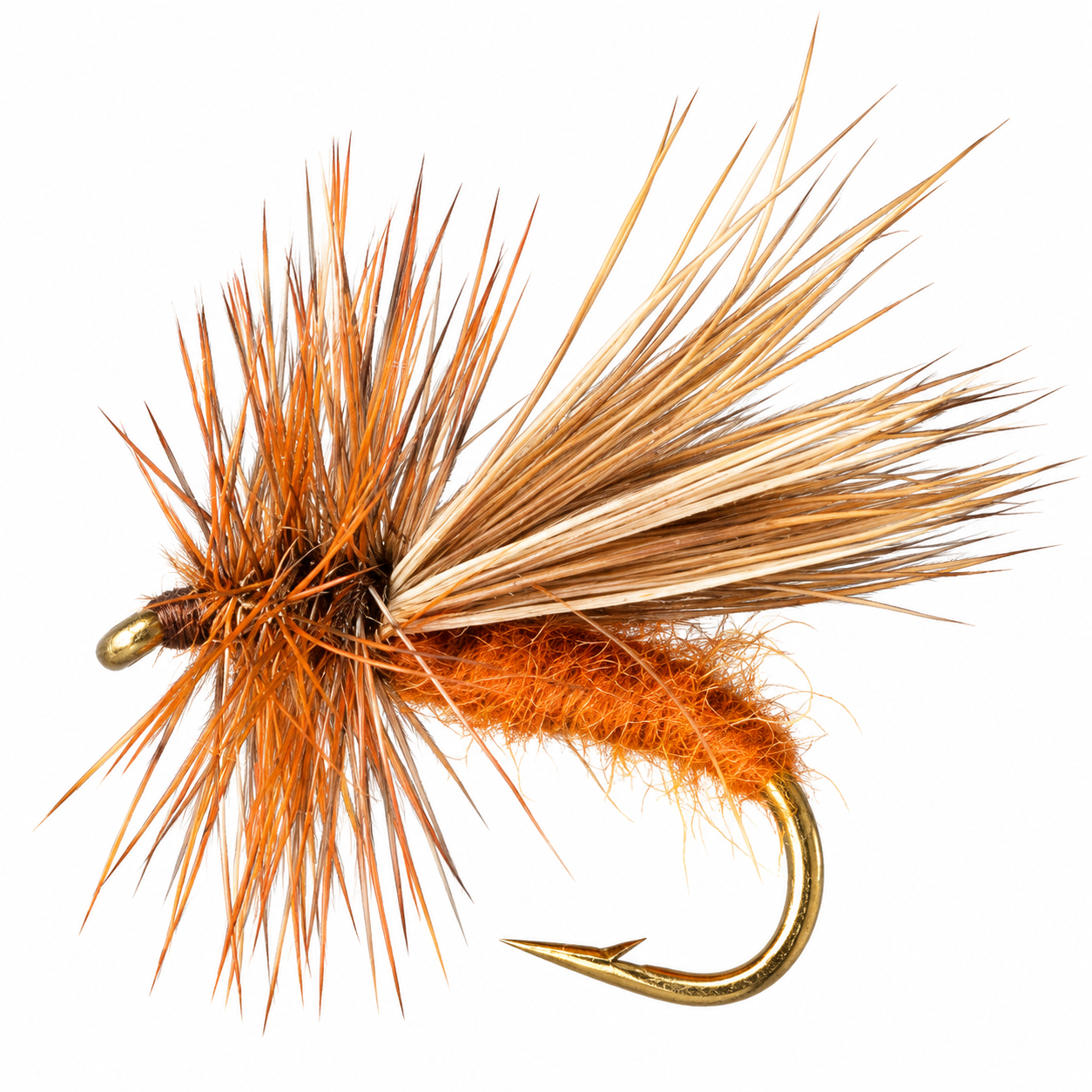 October Caddis