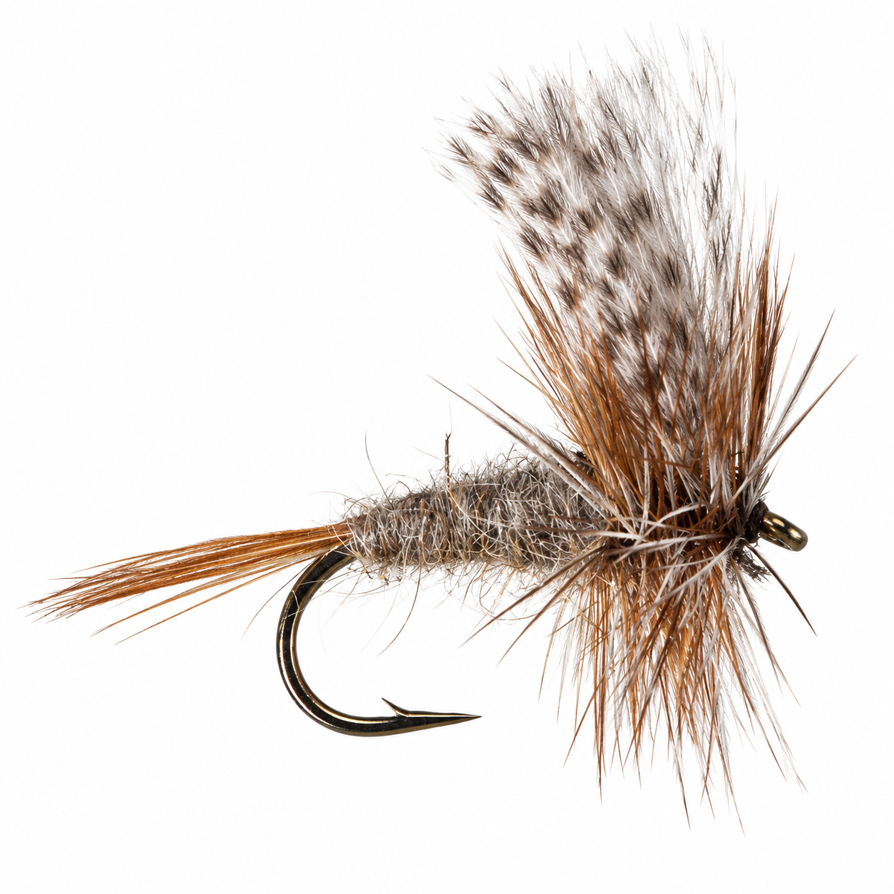March Brown