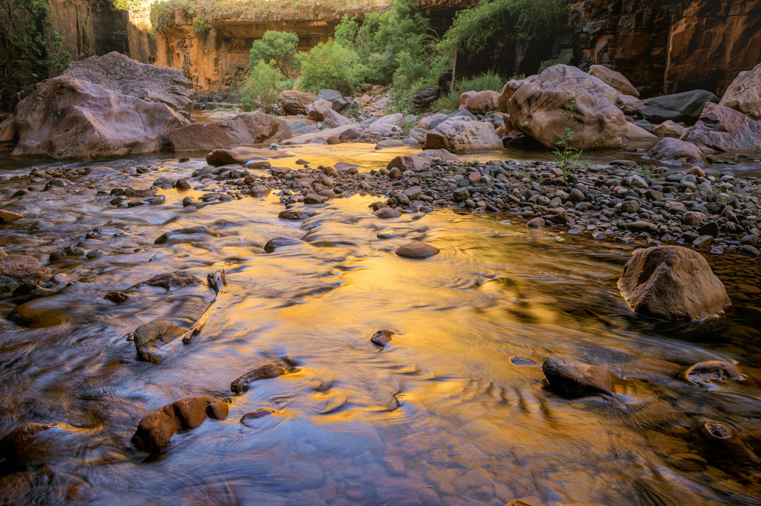 Gilded Current