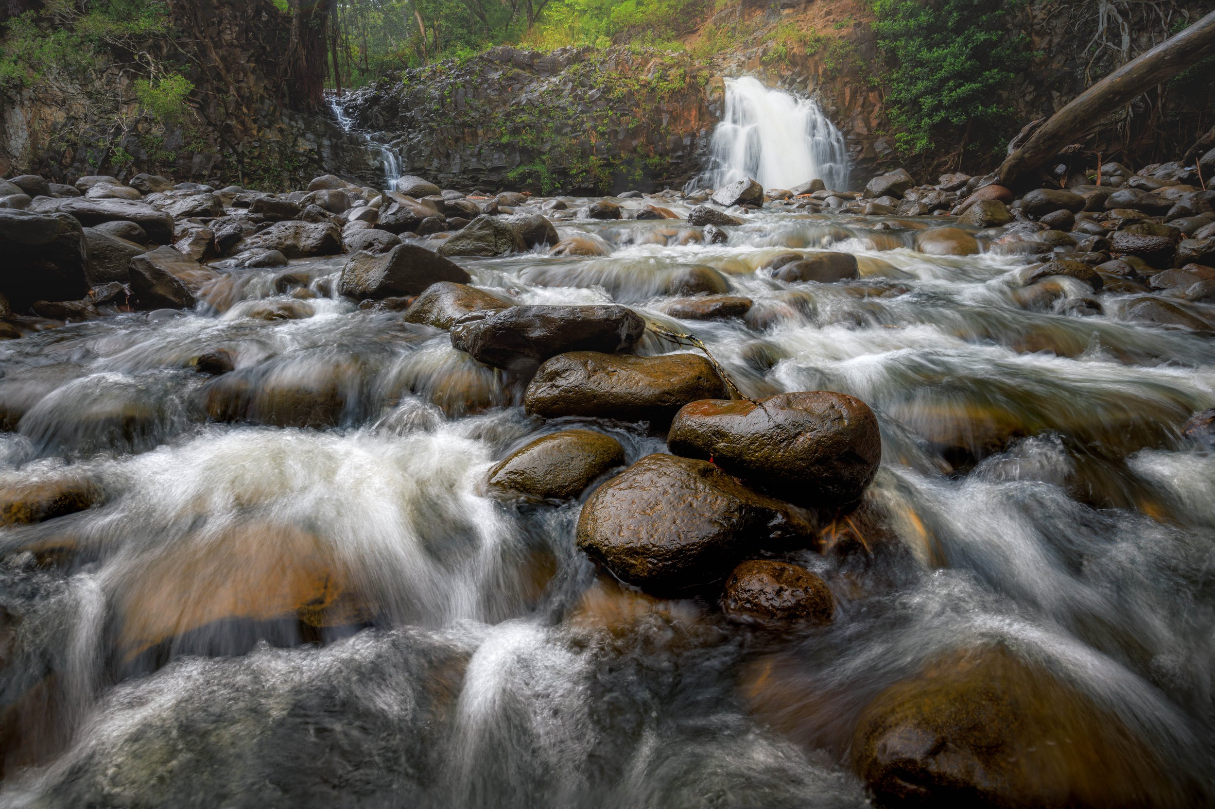 Primitive Plunge 