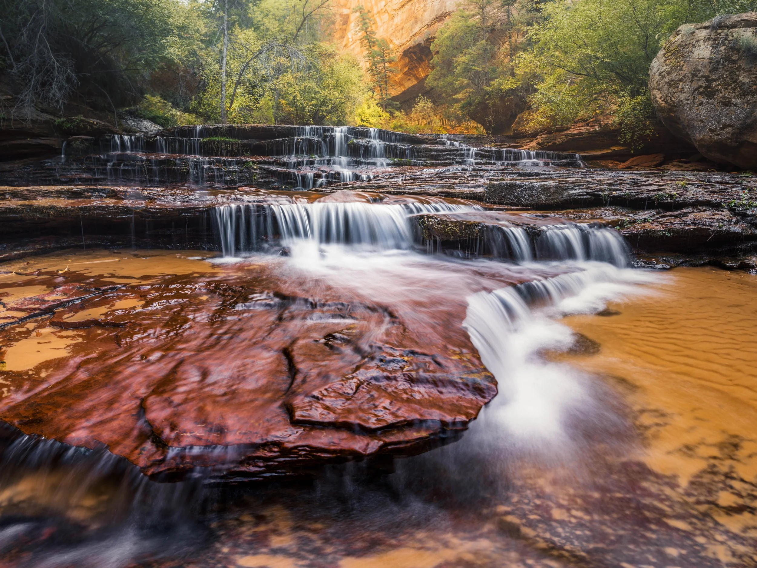 Russet Veil 