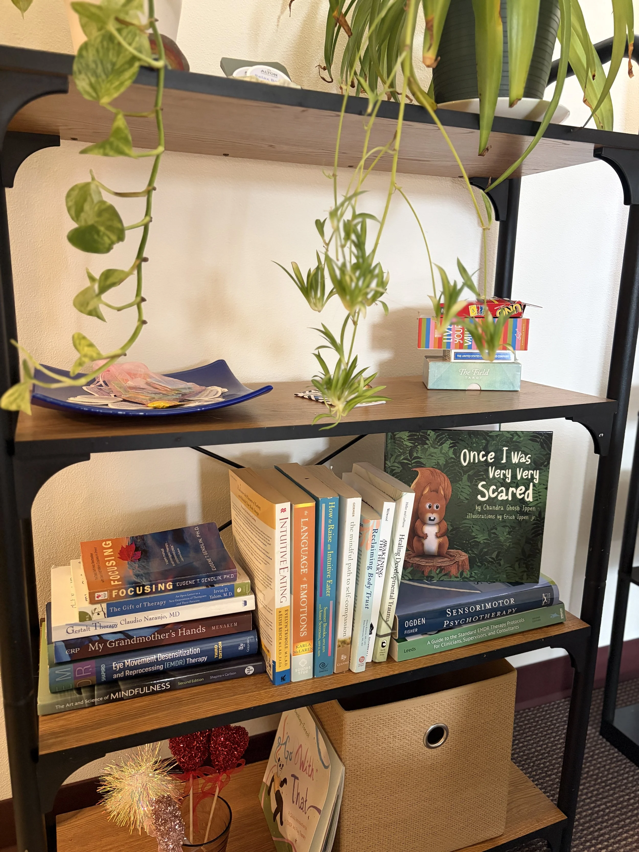 Bookshelf with plants and books in a Gorge Therapy Group therapy room