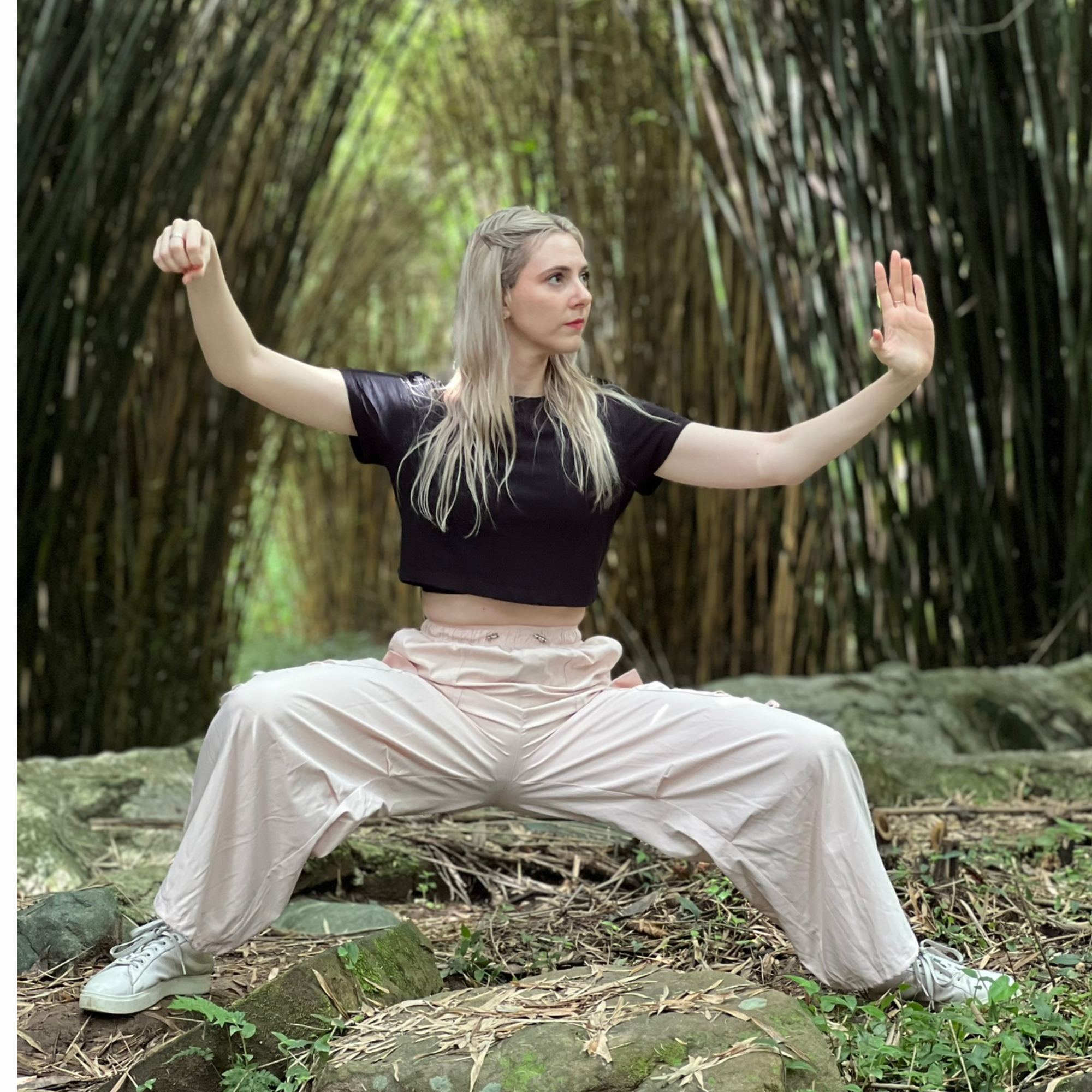Chen Style Tai Chi