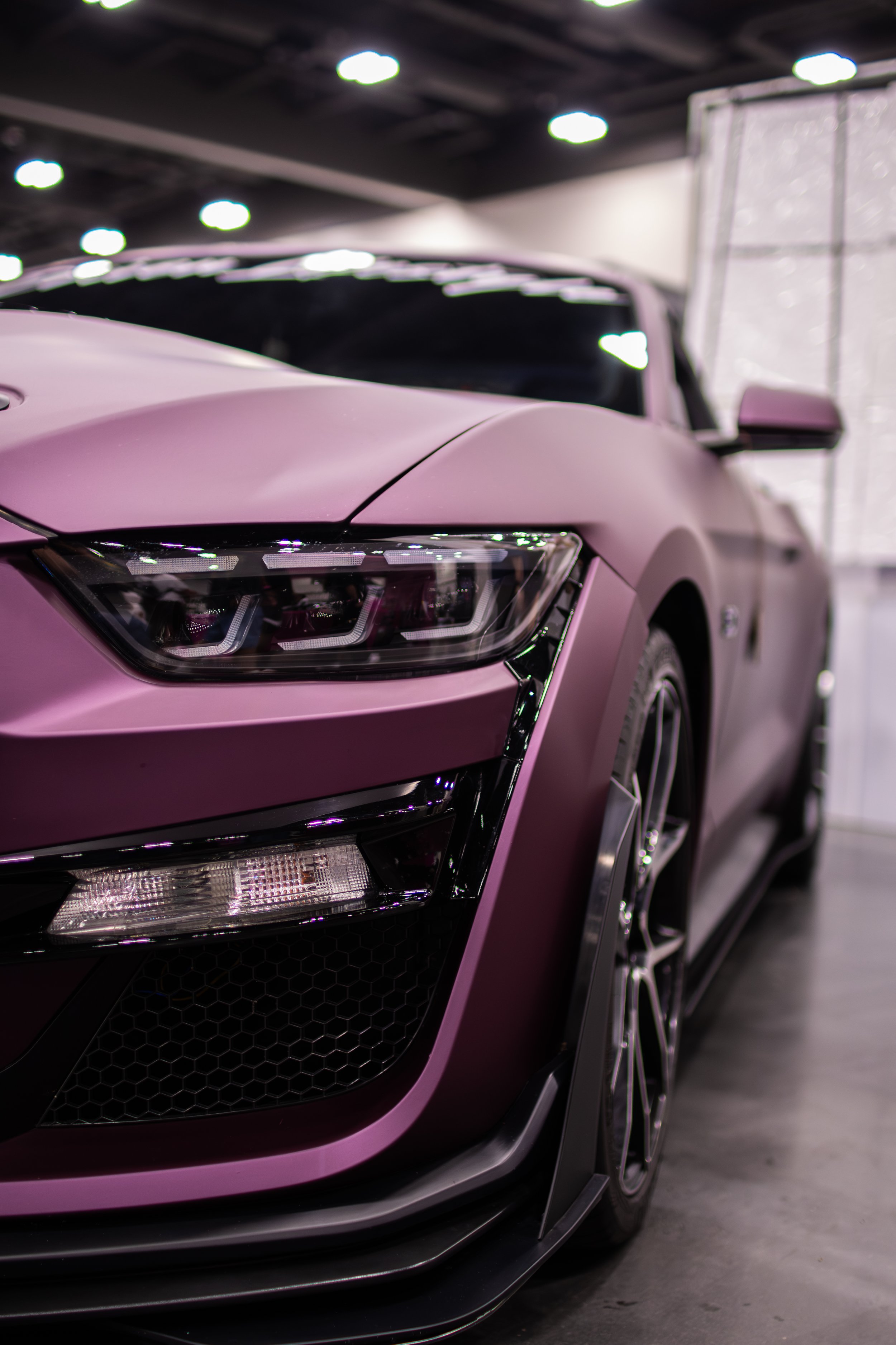 driven-3563.jpg