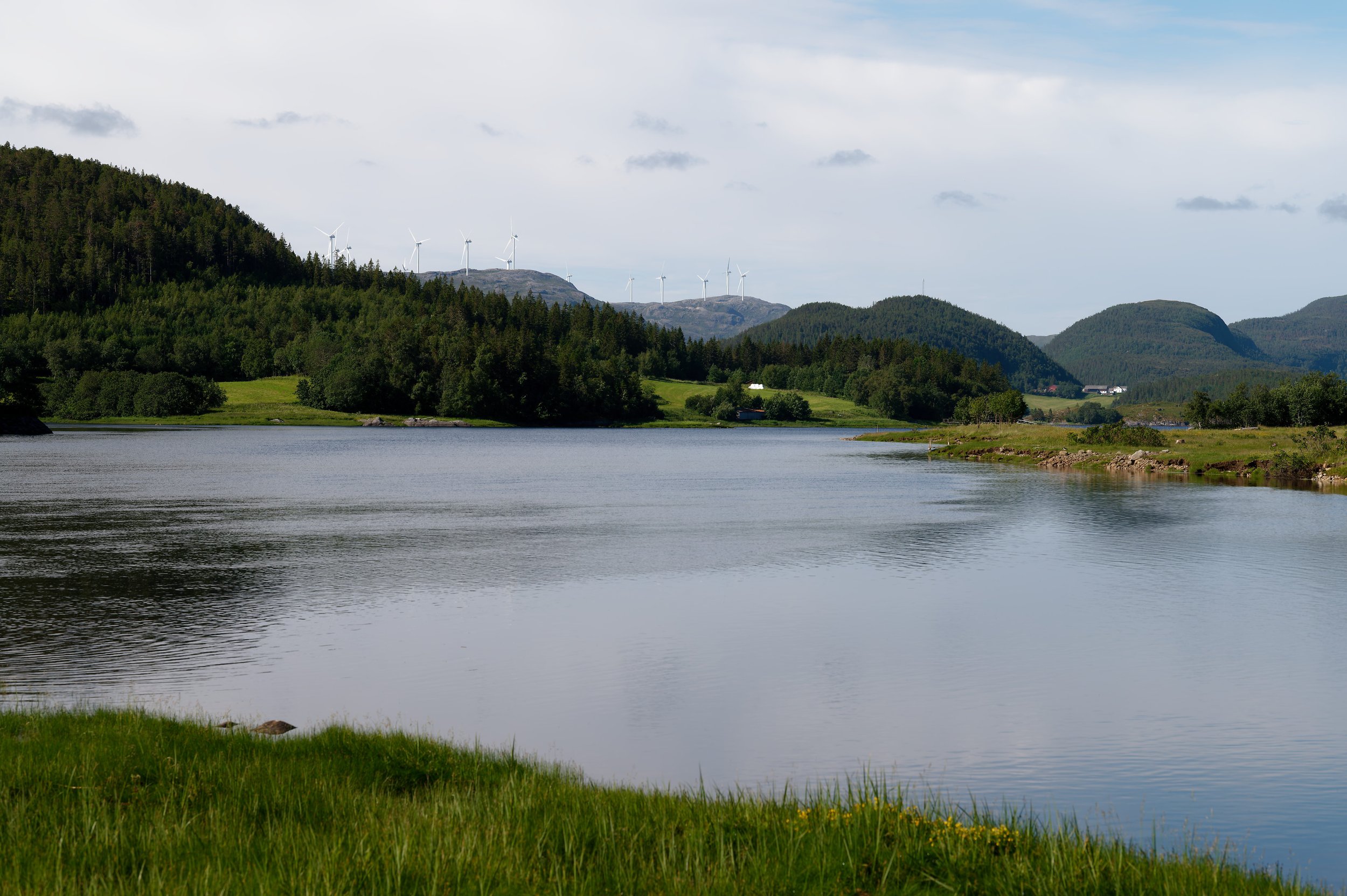 Utløpet av Nordalselven