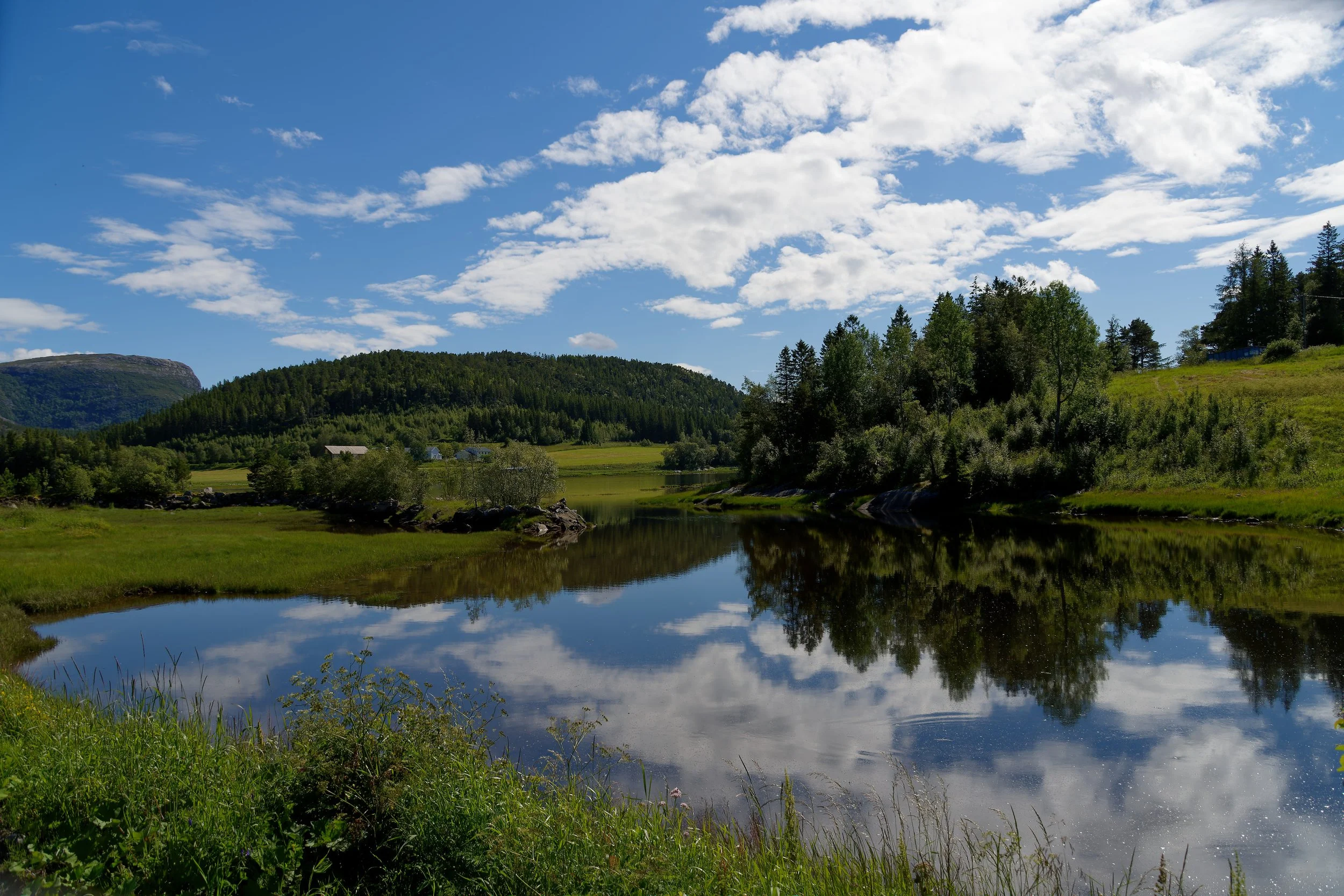 Natur